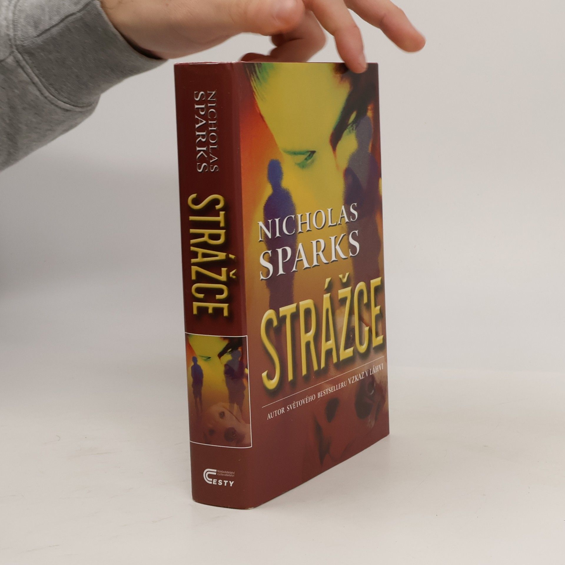 Nicholas Sparks Strážce