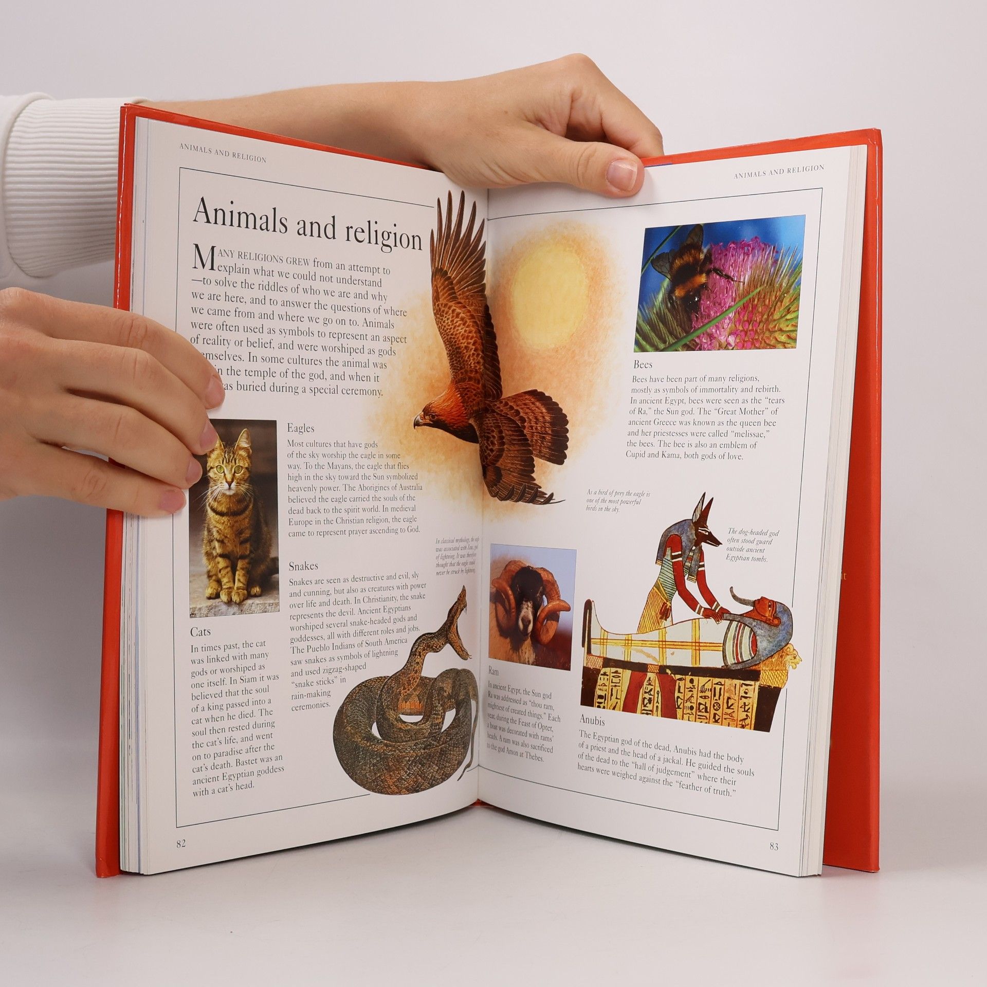 Fran Pickering The Element Illustrated Encyclopedia of Animals