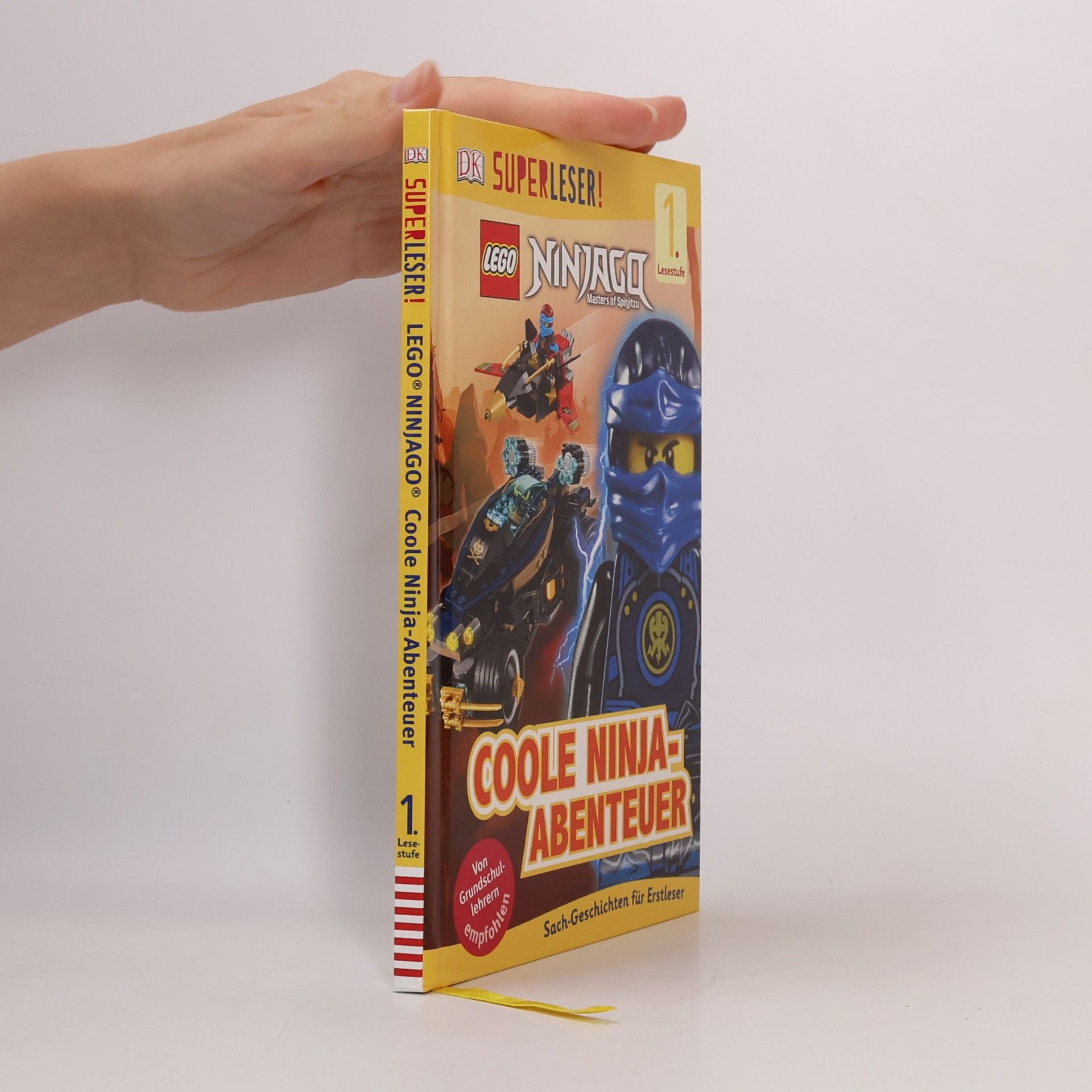 Lego Ninjago: Coole Ninja-Abenteuer