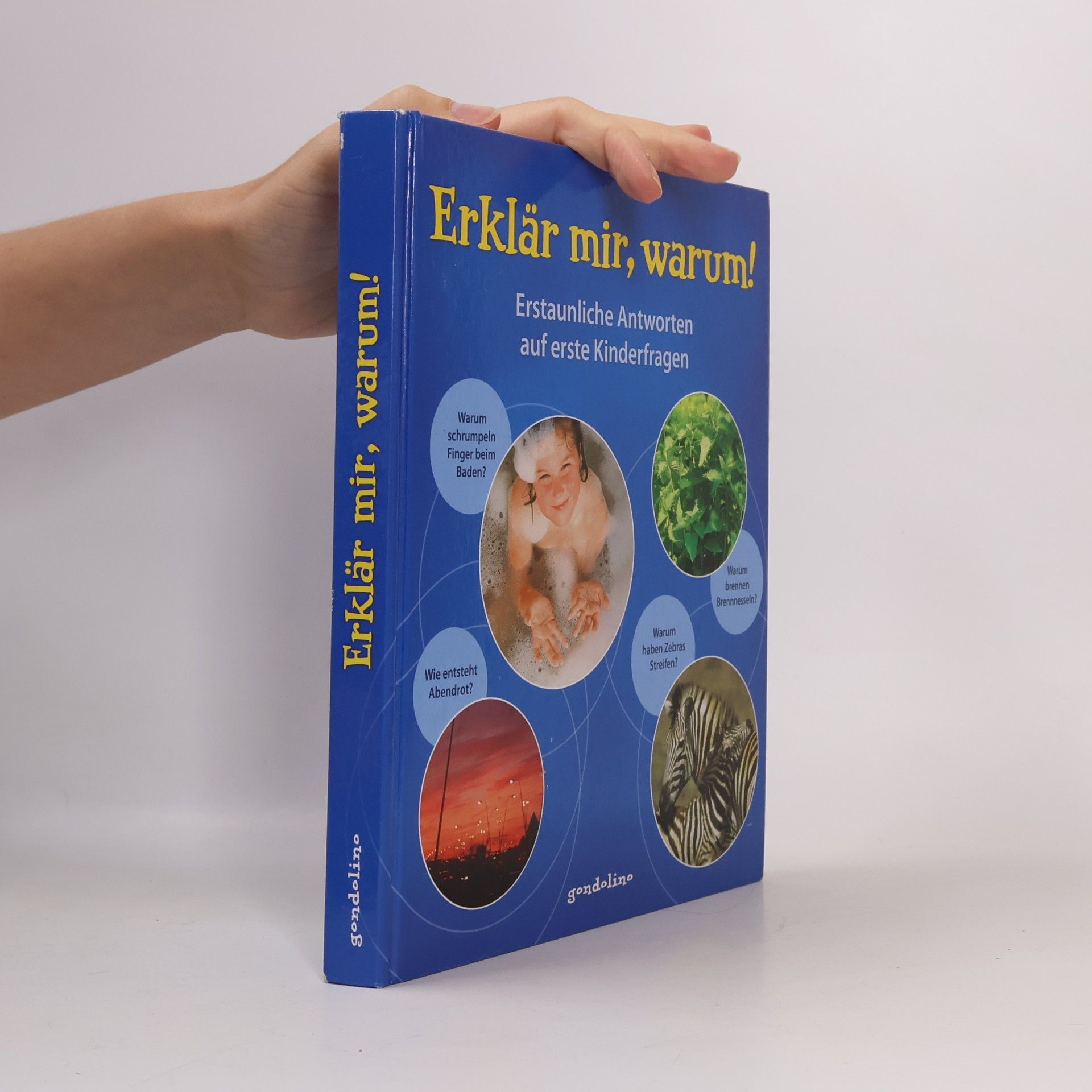 Detlef Kersten Erklär mir, warum!