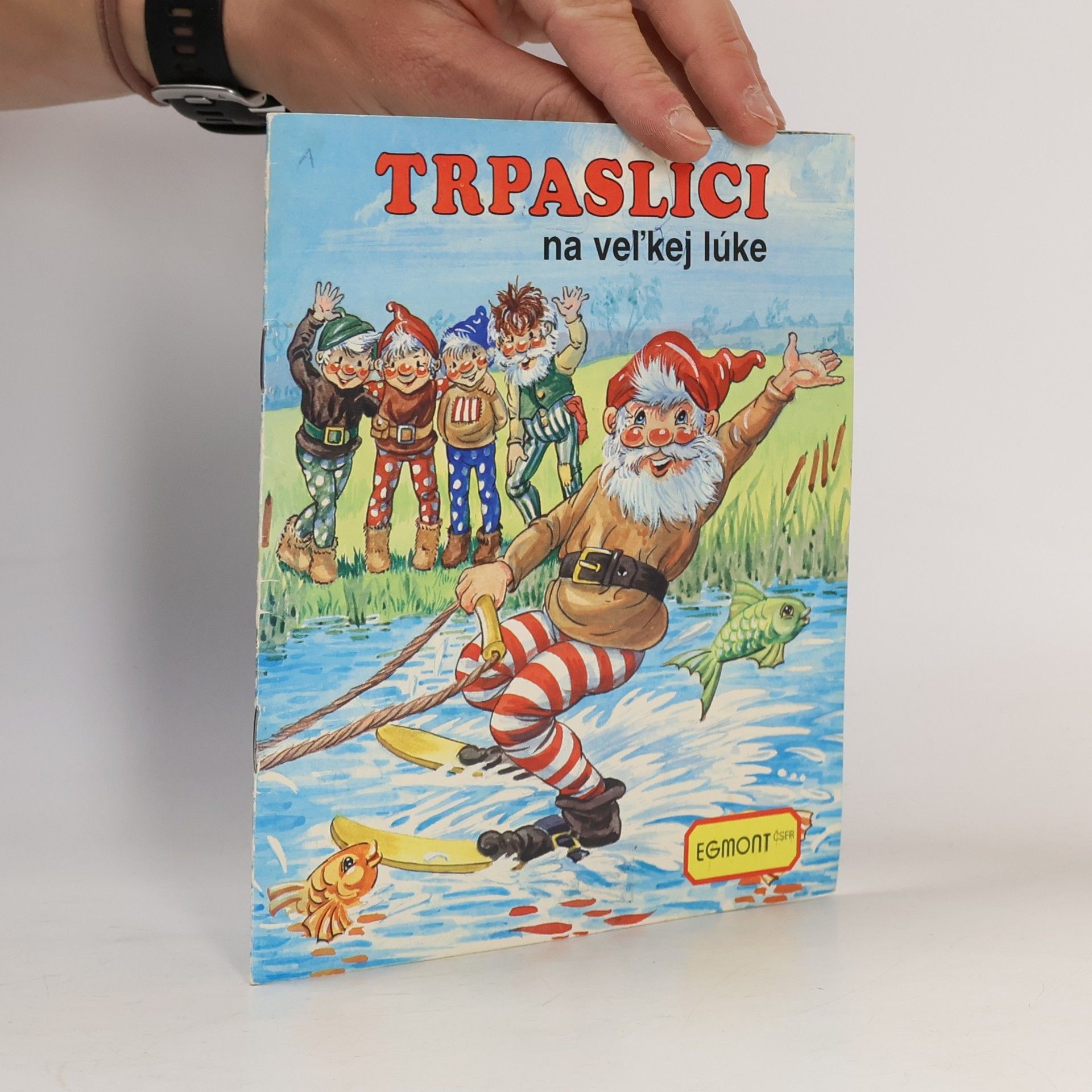 Trpaslíci na veĺkej lúke