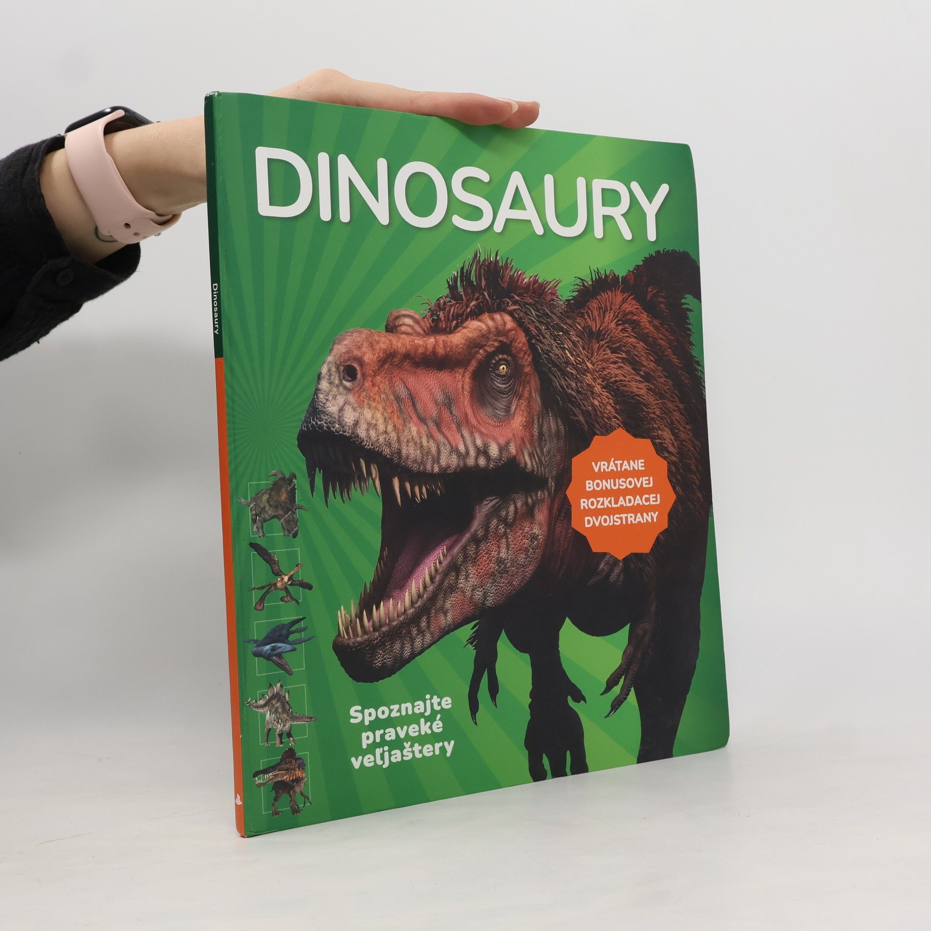 Dinosaury