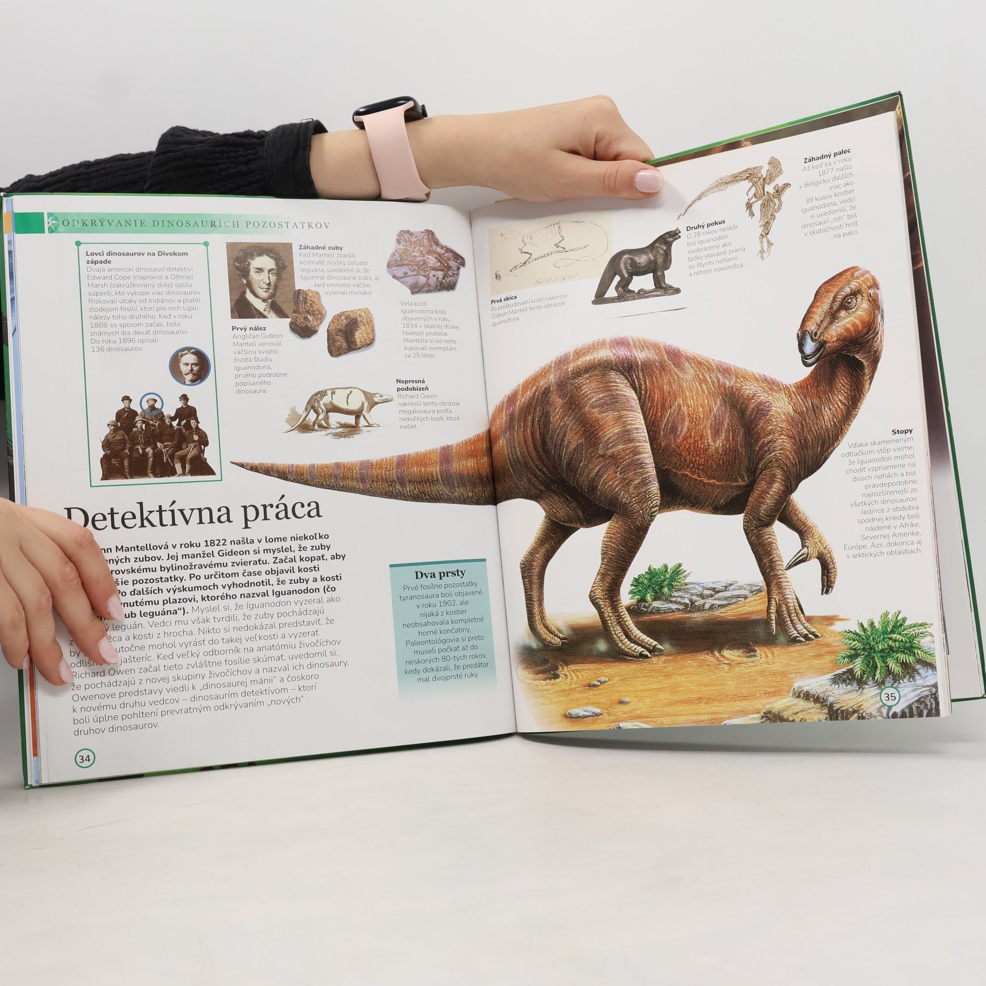 BOOKMEDIA s.r.o. Dinosaury