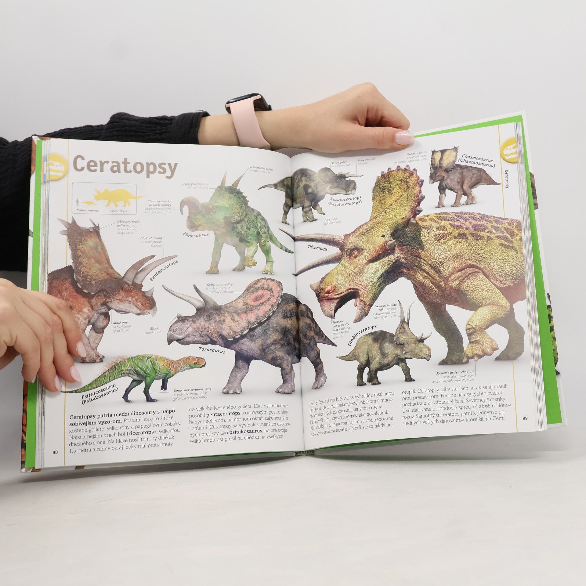 John Woodward Dinosaury a iné praveké živočíchy