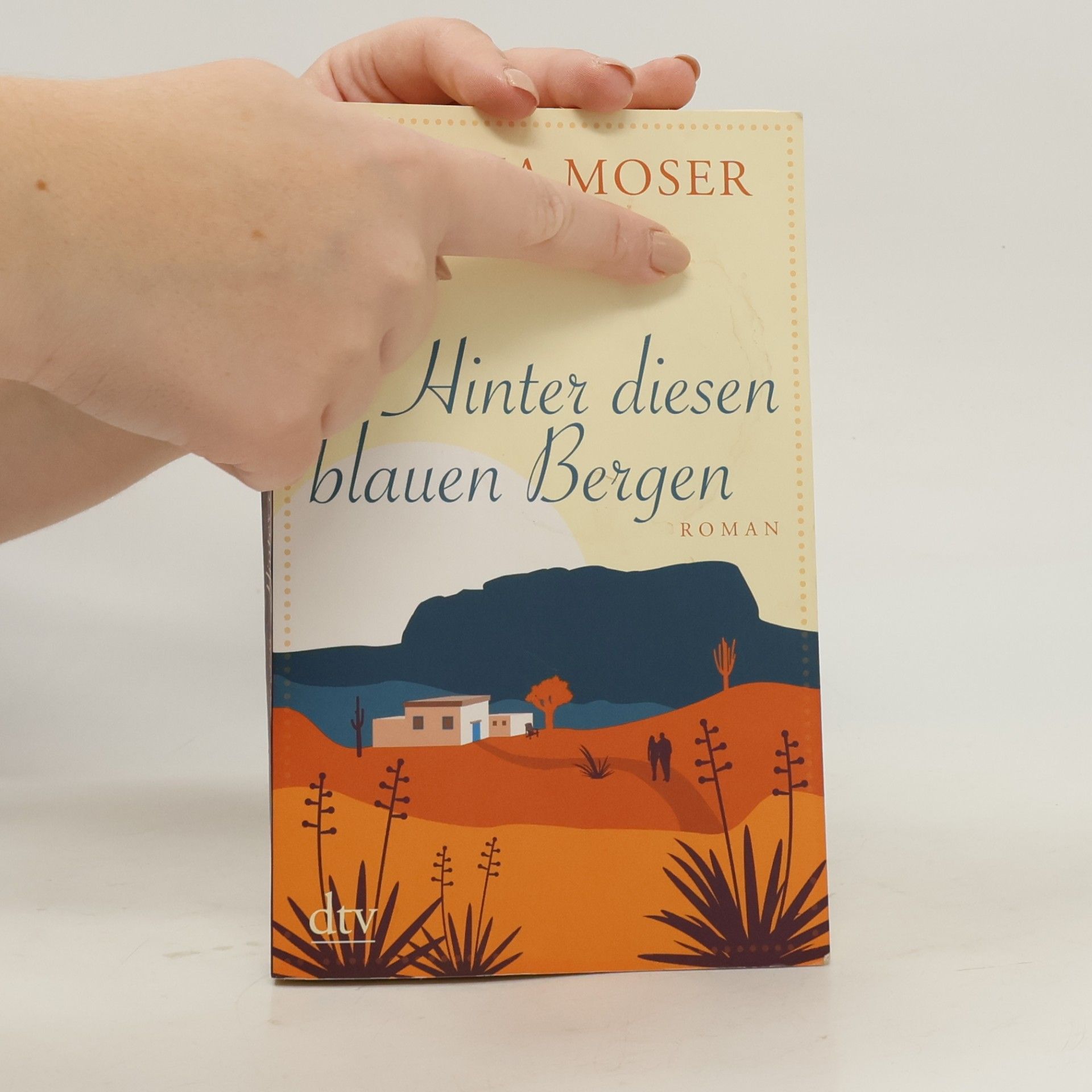 Milena Moser Hinter diesen blauen Bergen