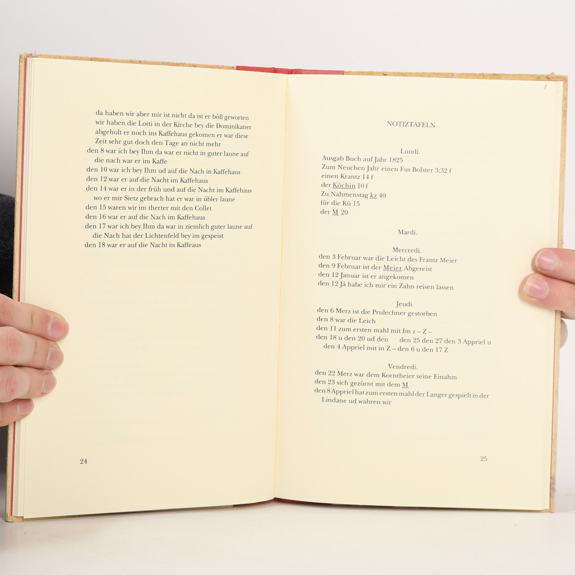 Antonie Wagner Das Raimund-Tagebuch der Antonie Wagner