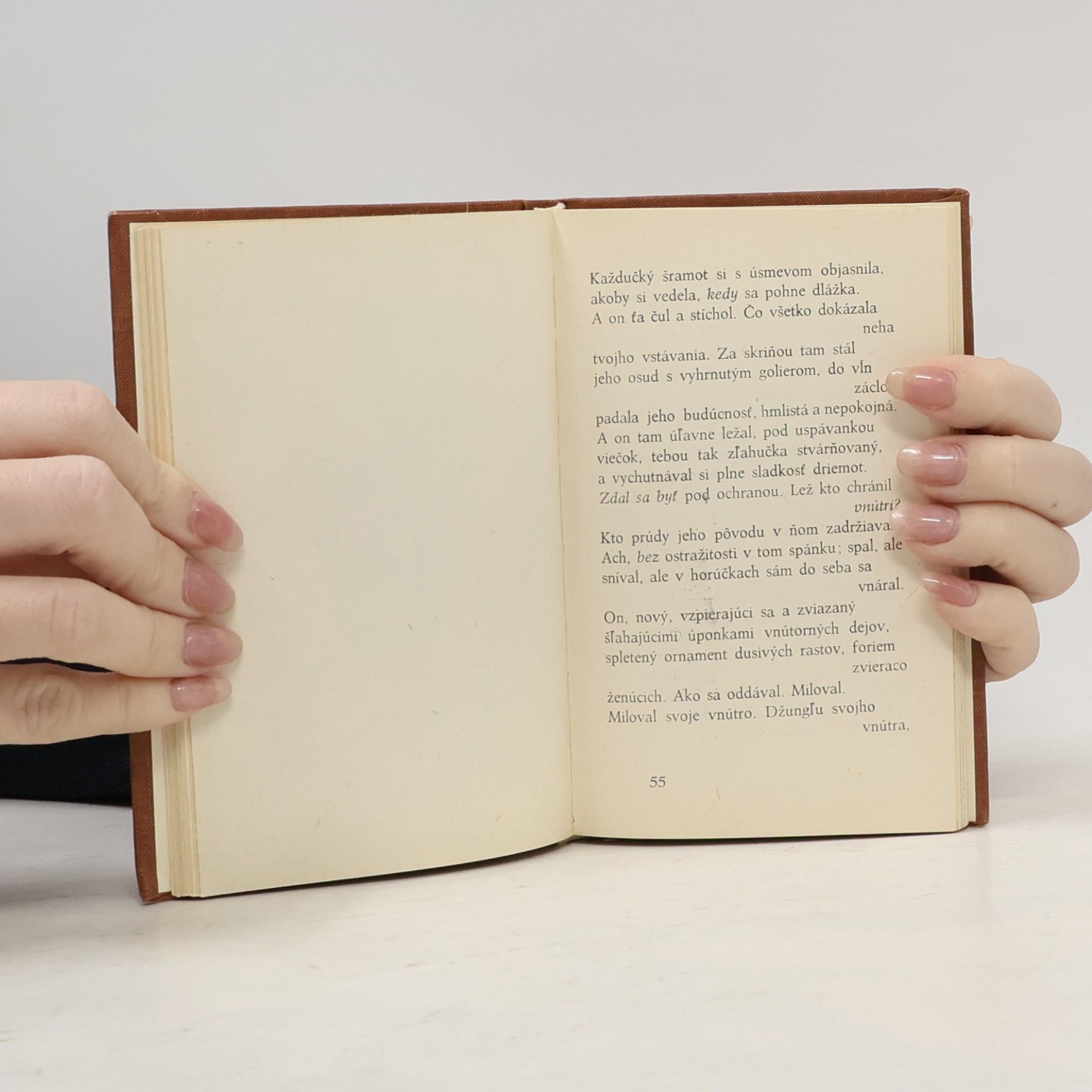Rainer Maria Rilke Piesne o láske a smrti