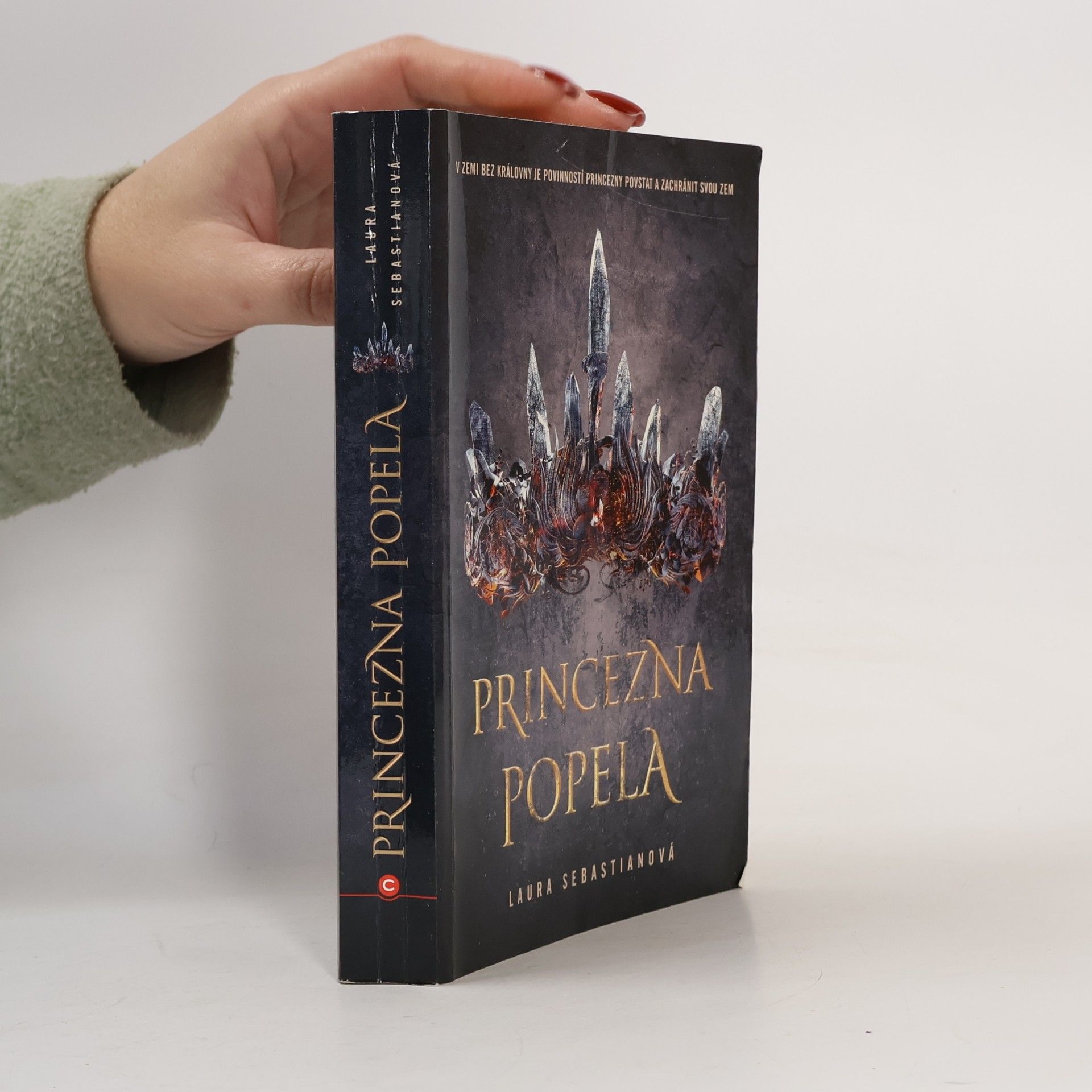 Princezna popela