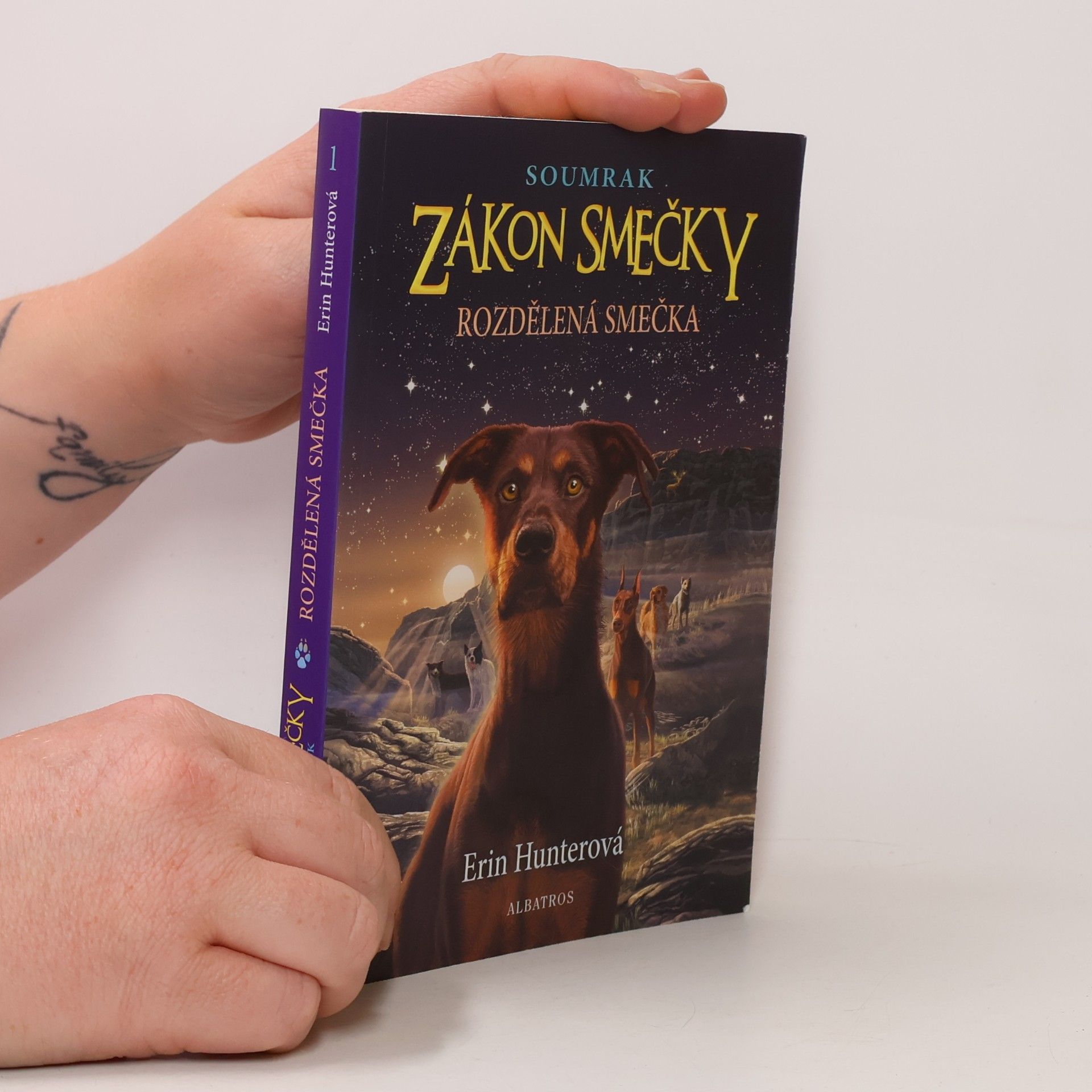 Matěj Čuchna Rozdělená smečka
