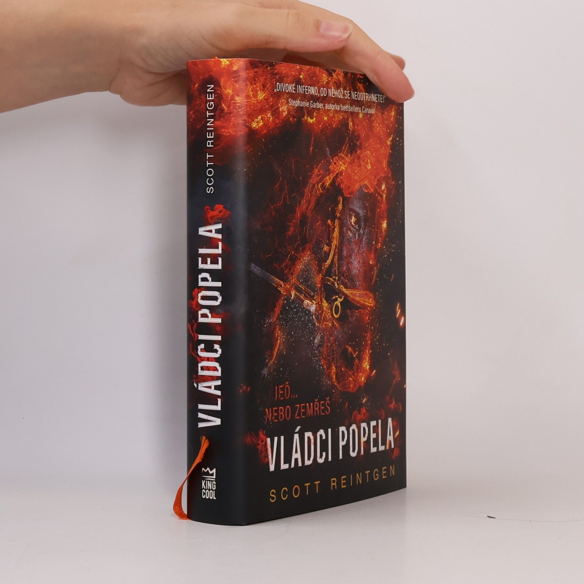 Vládci popela