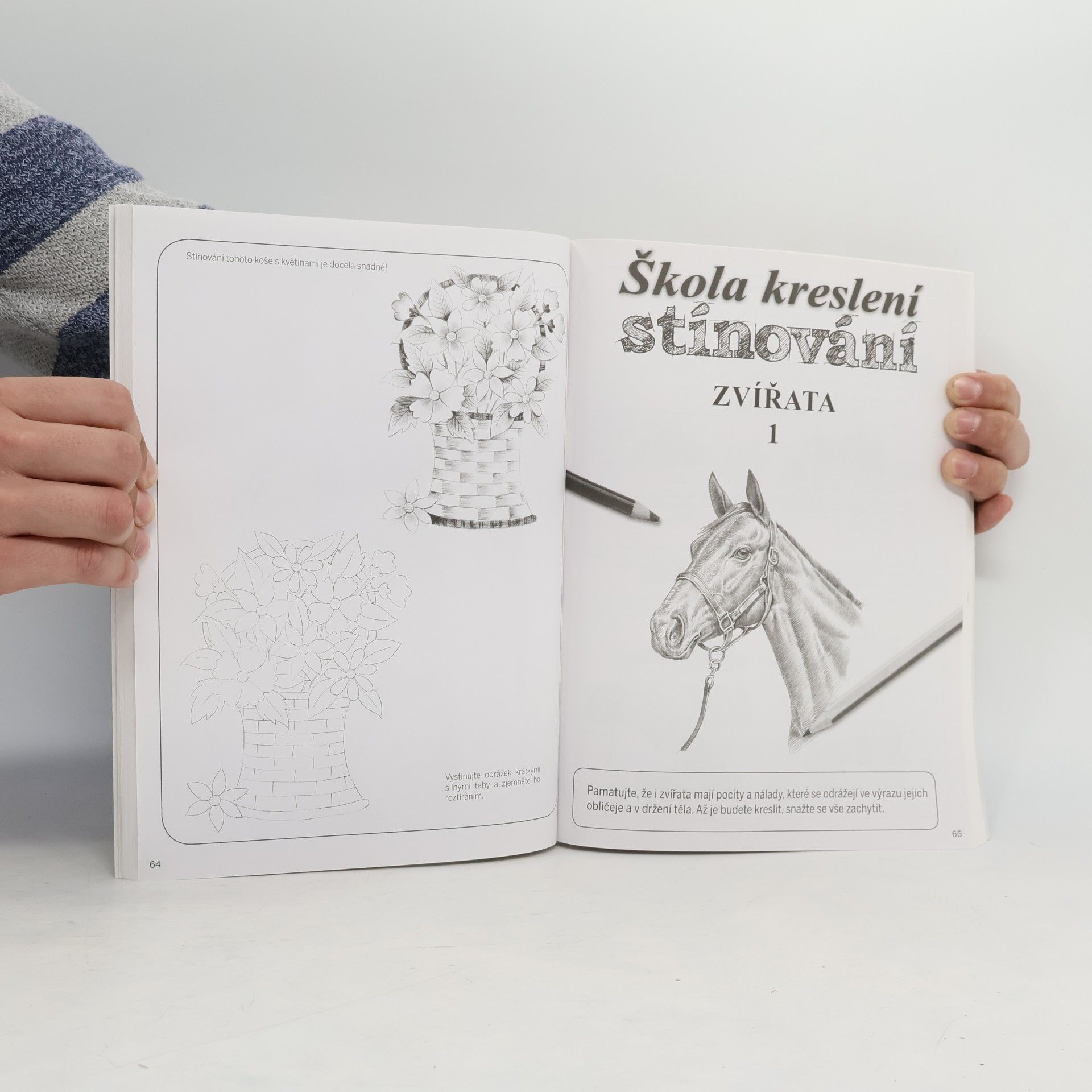 Auteurscollectief Velká škola stínování