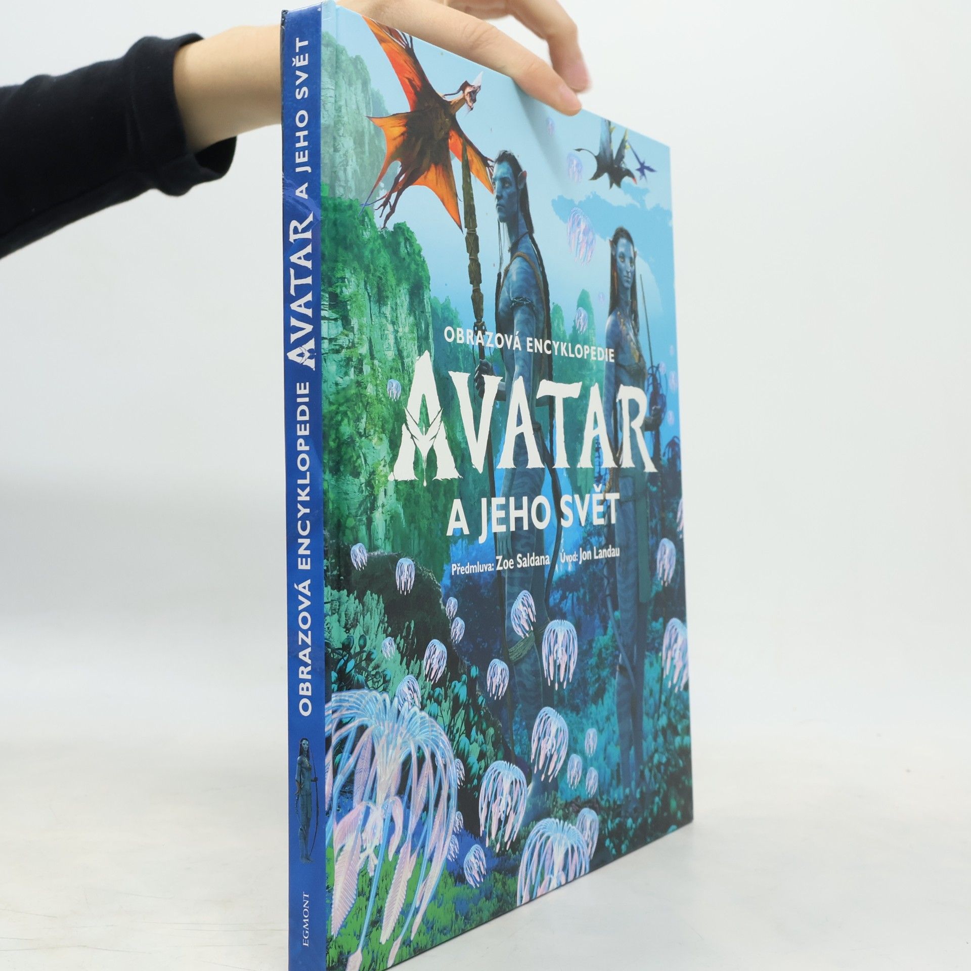 Avatar a jeho svět