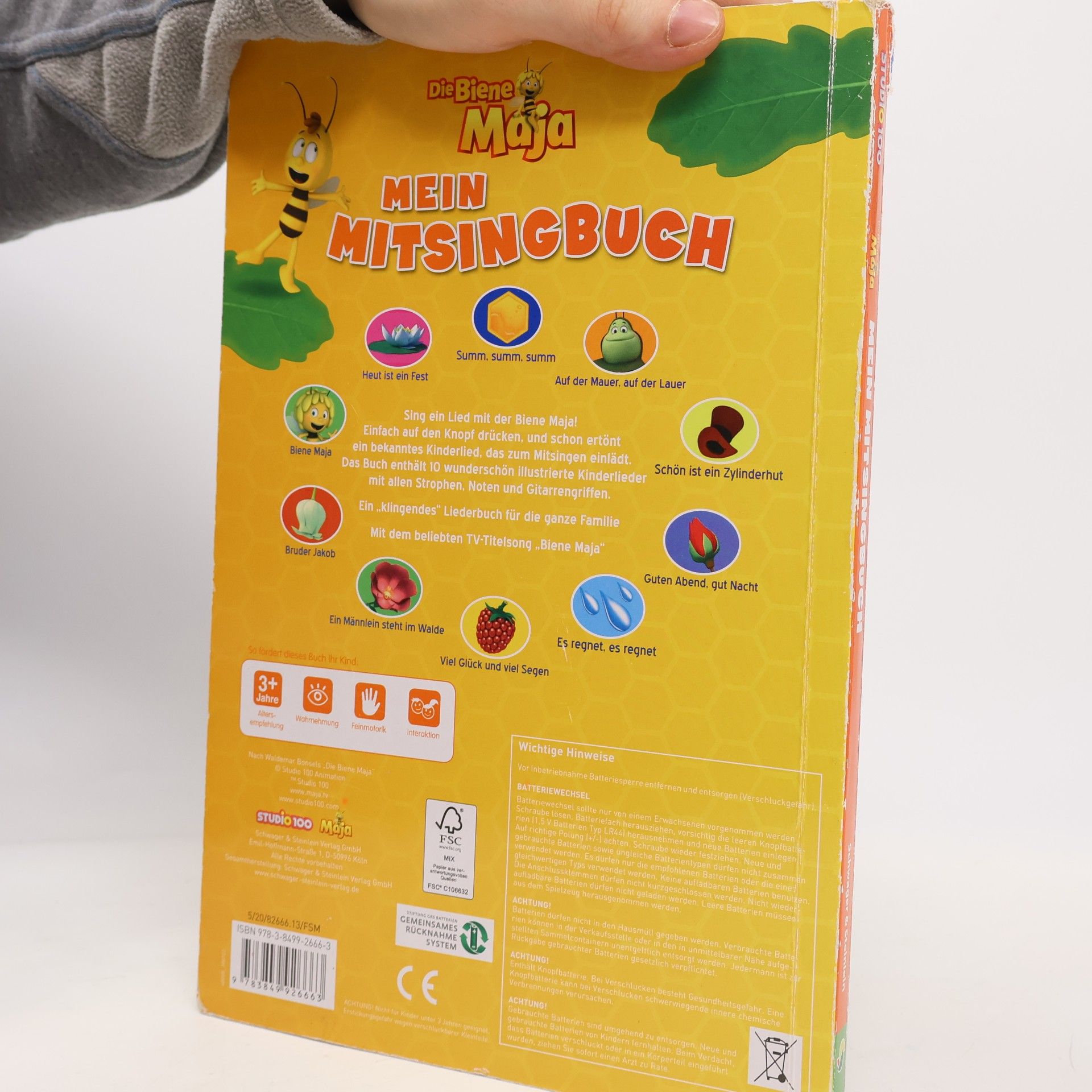 Kolektiv autorů Mein Mitsingbuch