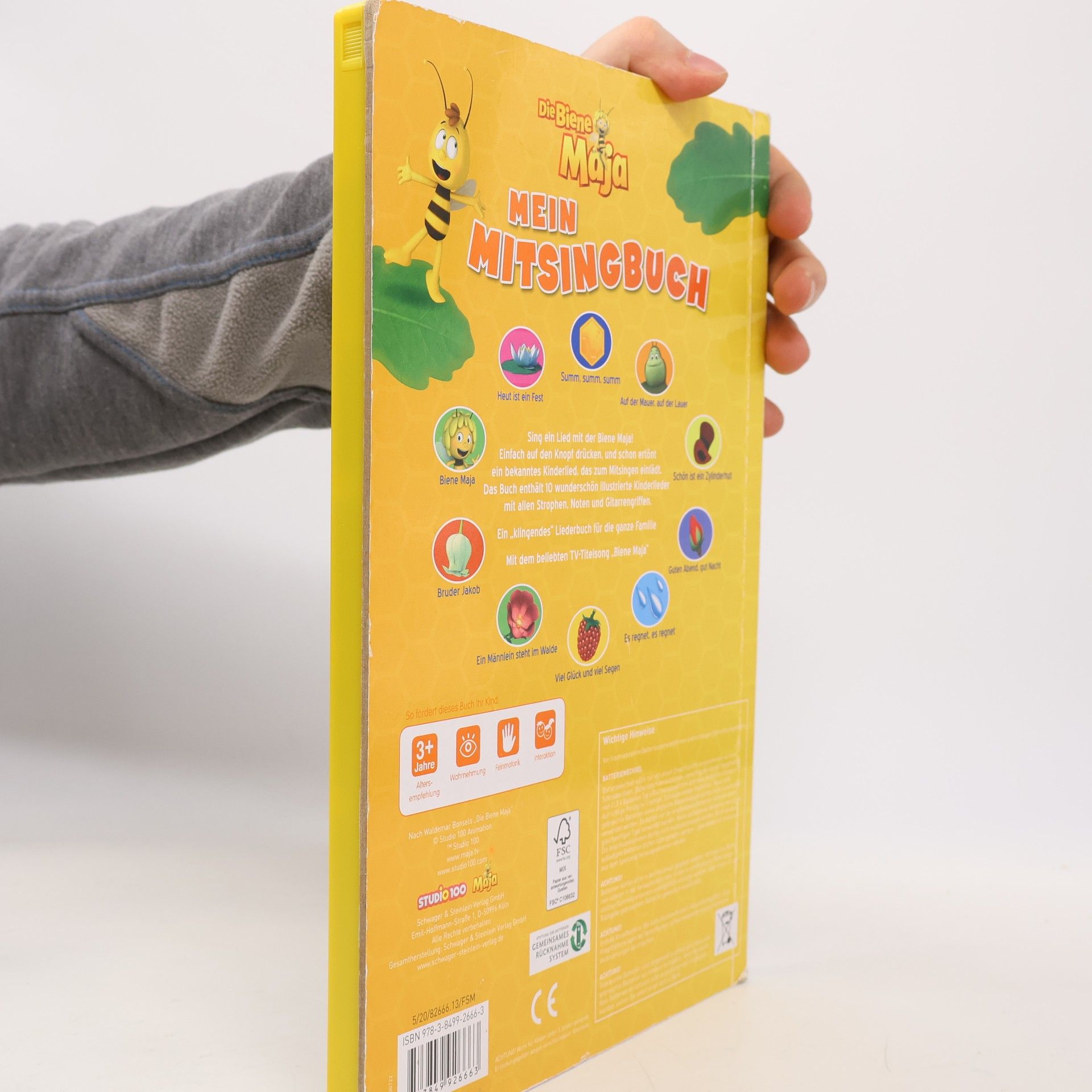 Kolektiv autorů Mein Mitsingbuch