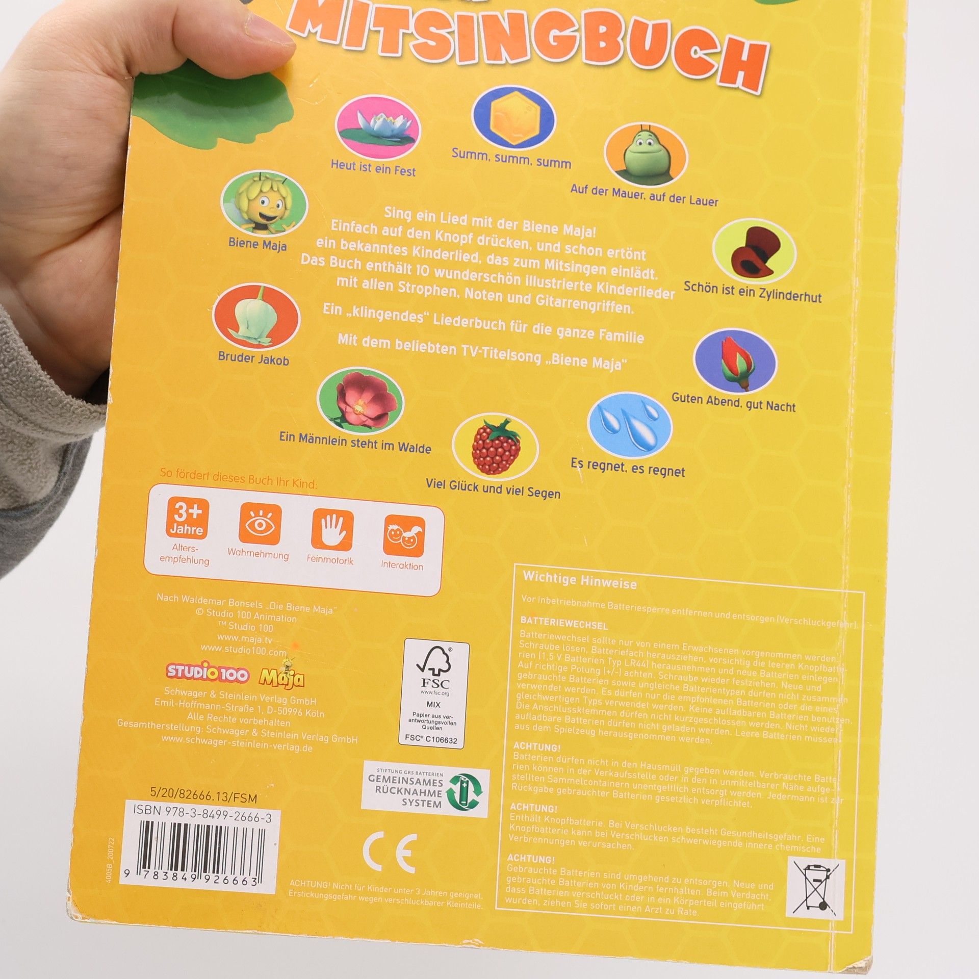 Kolektiv autorů Mein Mitsingbuch