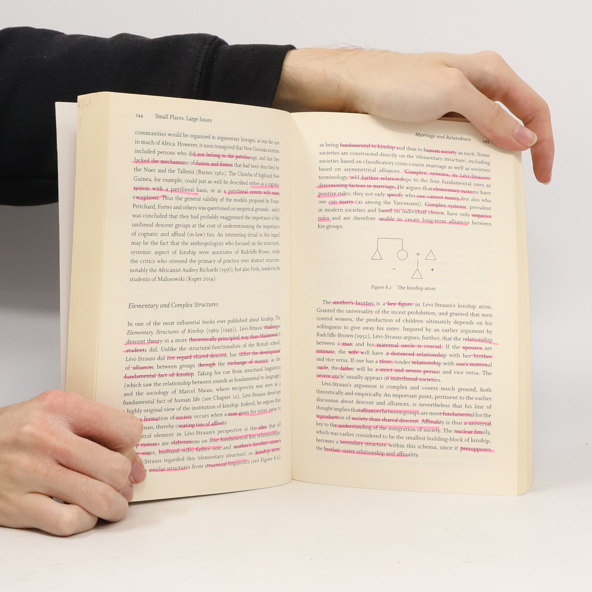 Thomas Hylland Eriksen Small Places, Large Issues