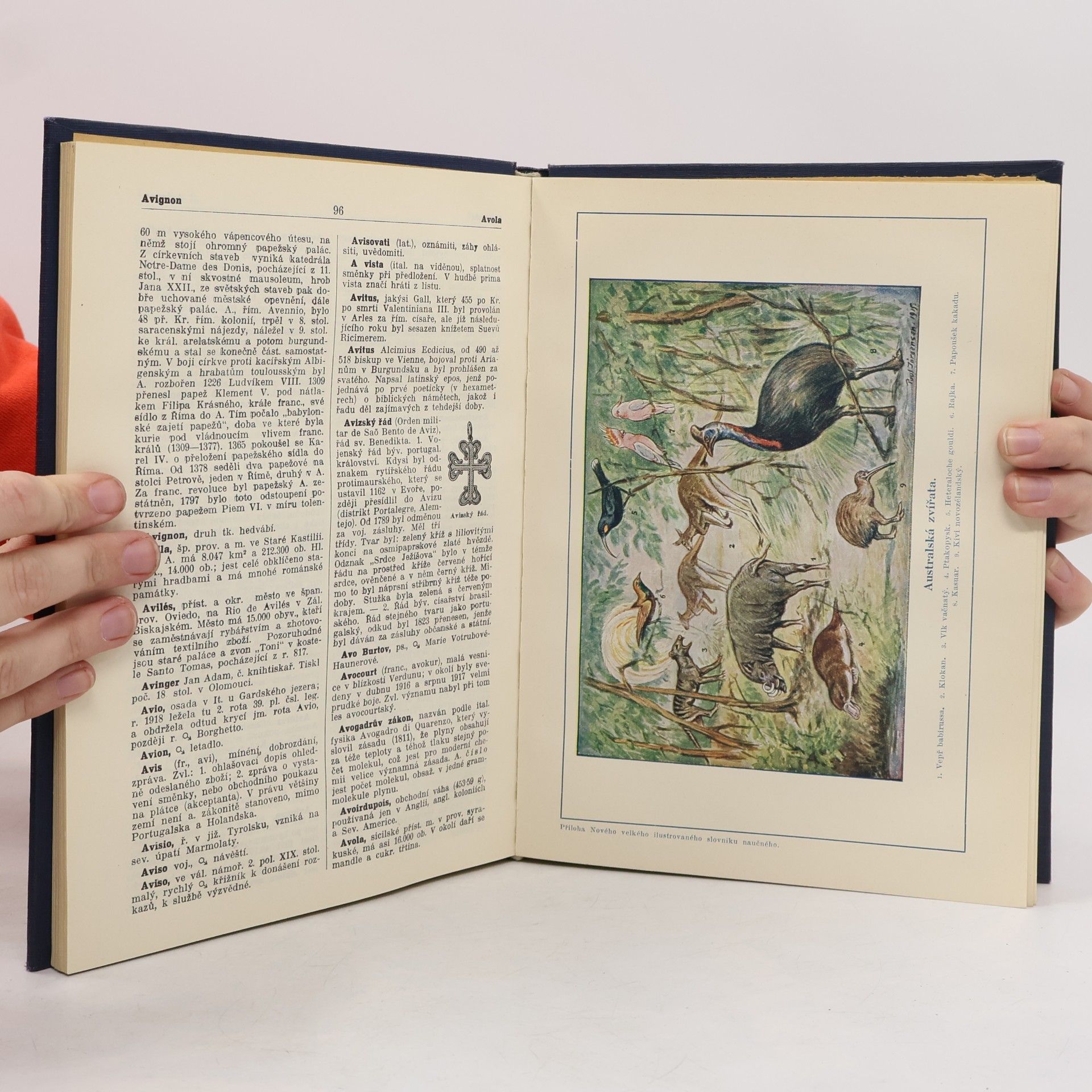 Various authors Nový velký ilustrovaný slovník naučný II. Asianismus-Björnstjerna