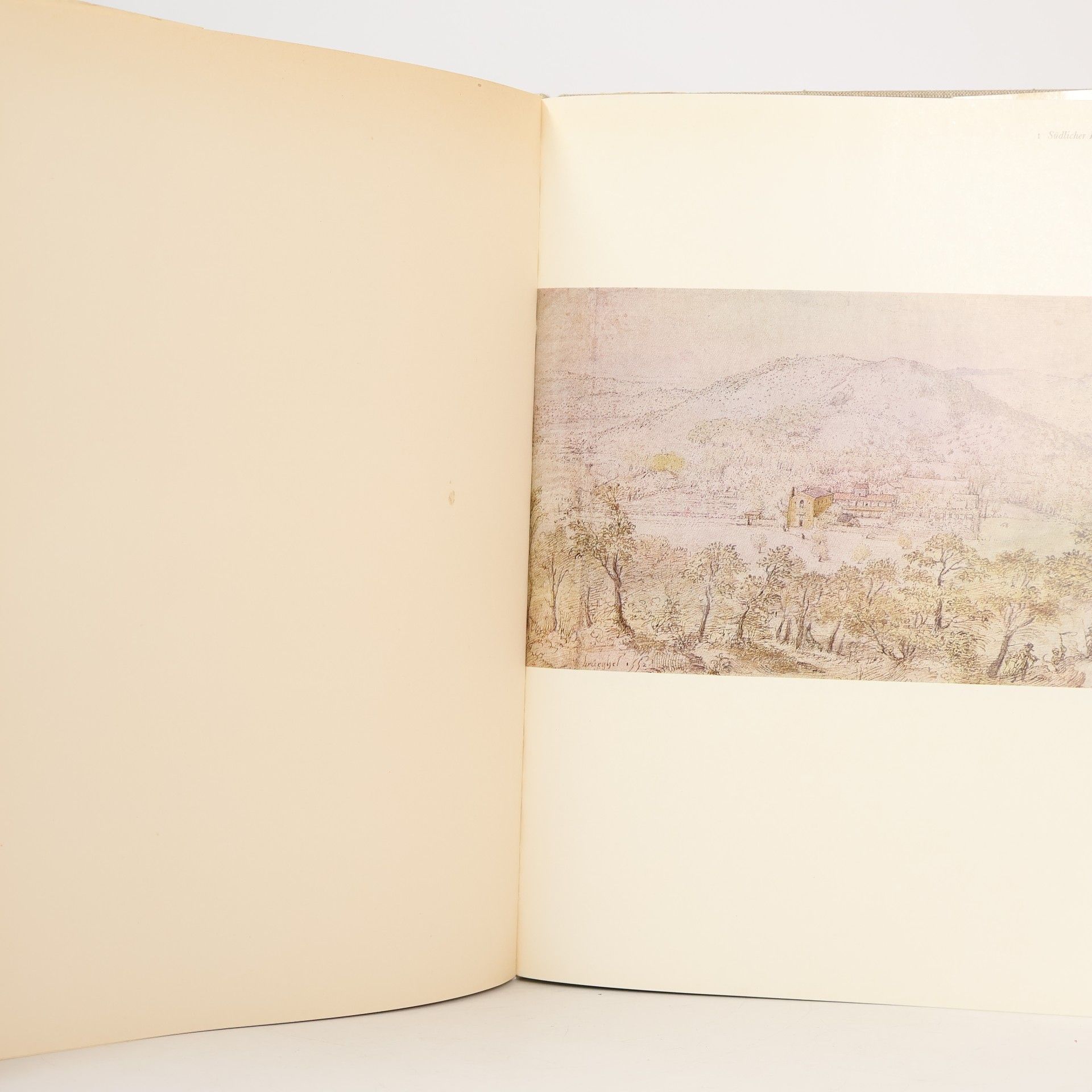 Gerhard W. Menzel Pieter Bruegel der Ältere