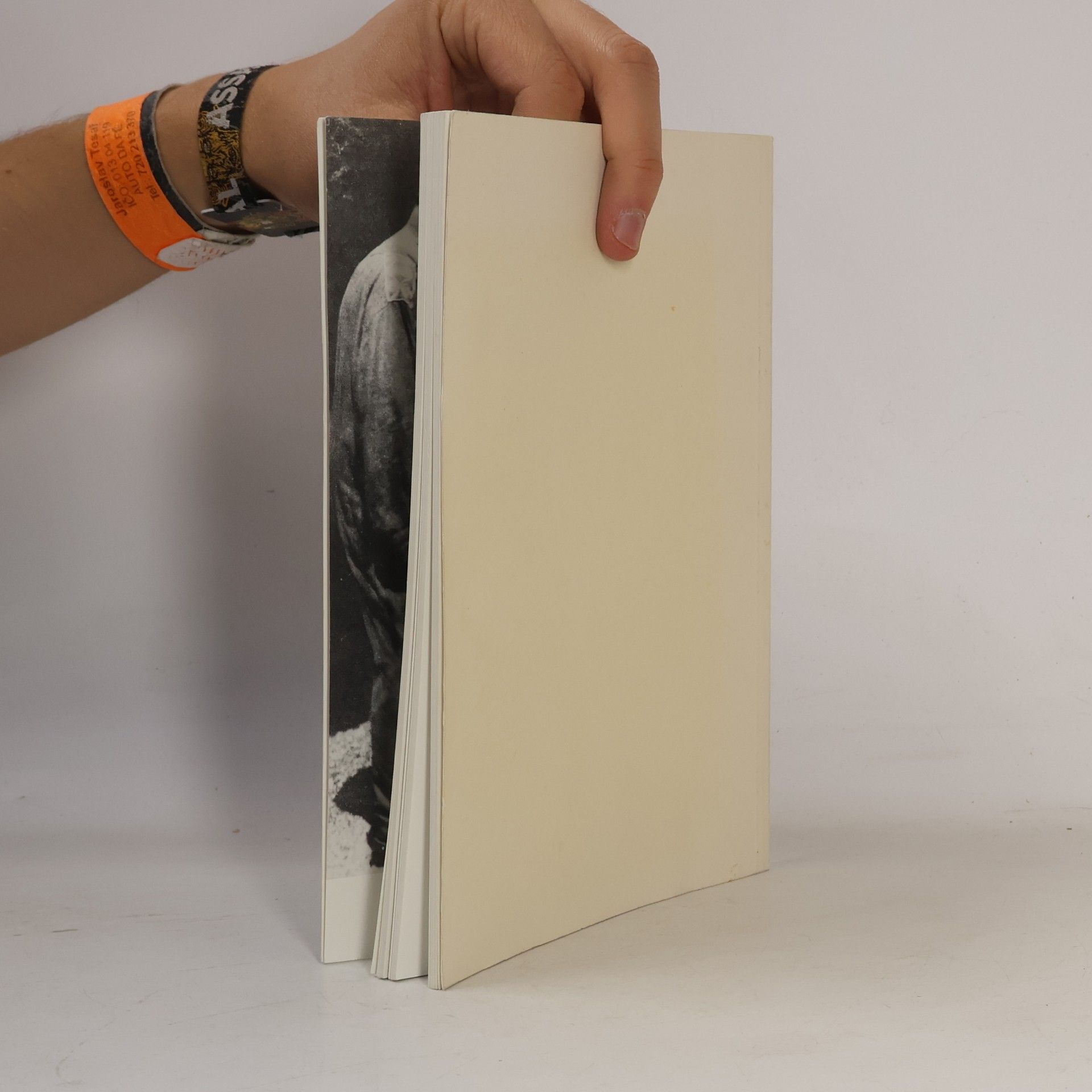 Collectif d'auteurs Emilie Flöge und Gustav Klimt