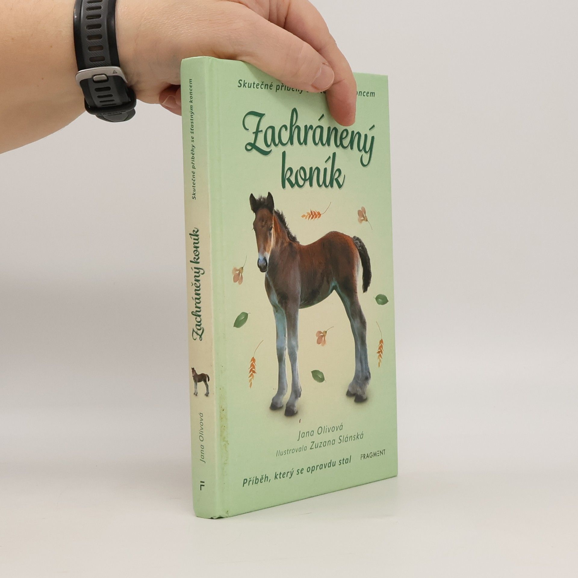 Zachráněný koník