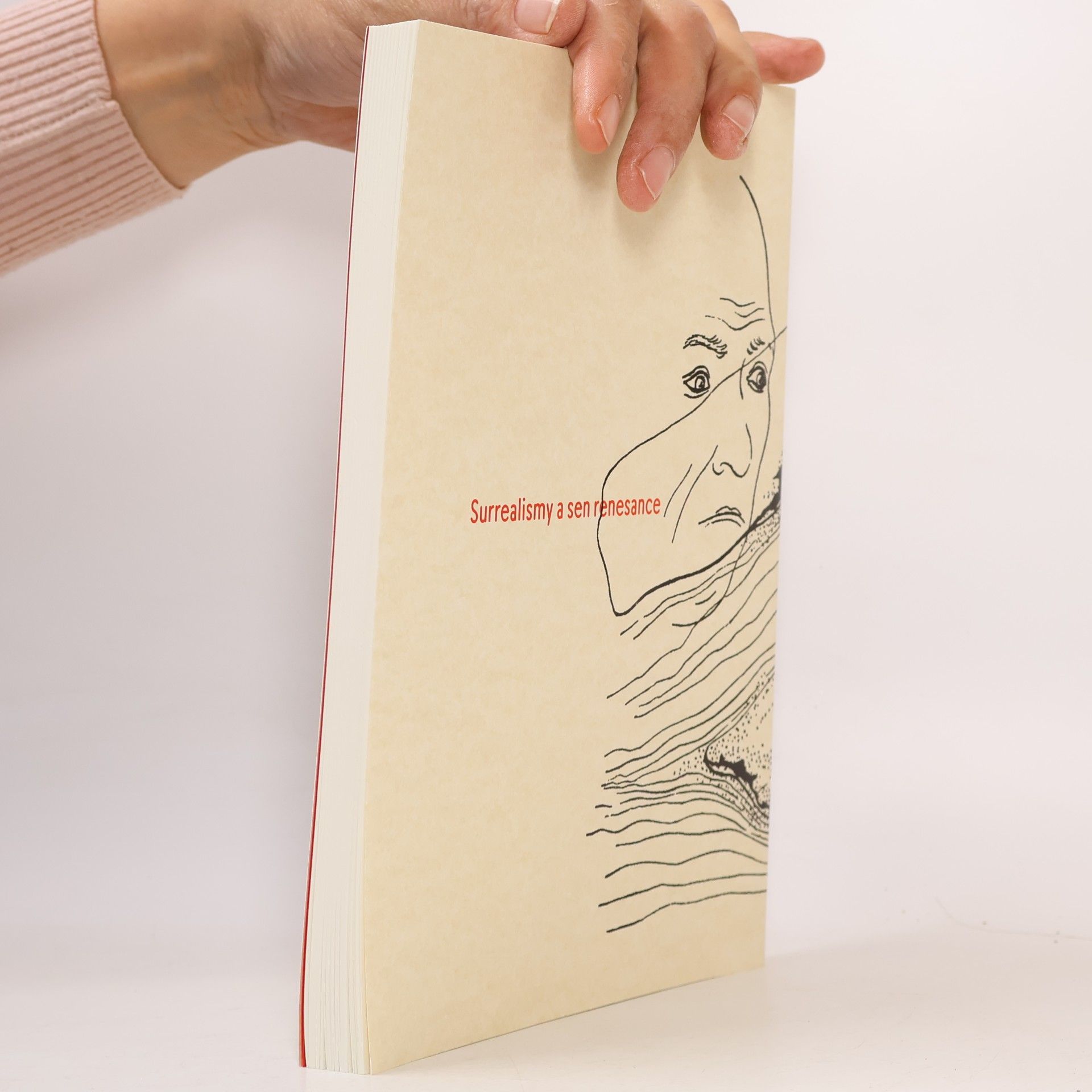 Eva Skopalová Heptameron - Surrealismy a sen renesance