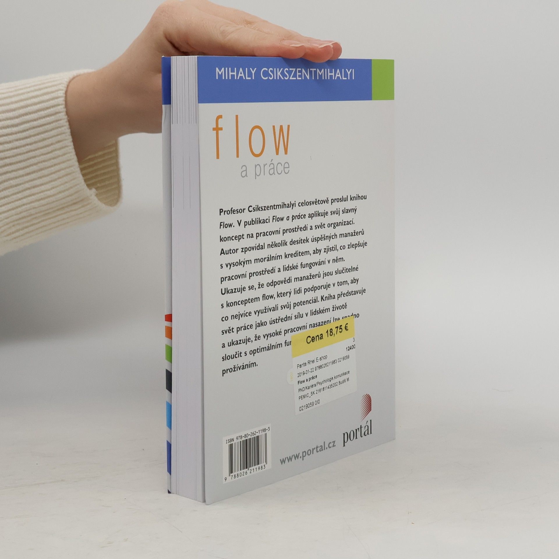 Mihaly Csikszentmihalyi Flow a práce