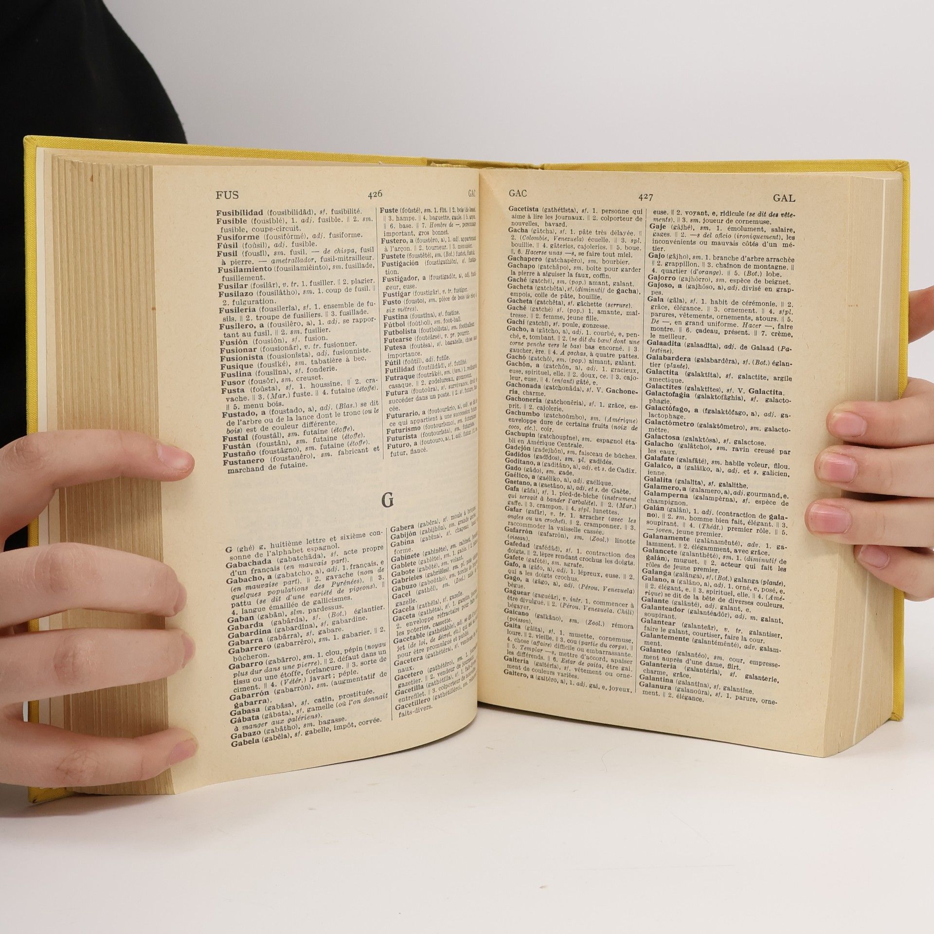 Various authors Dictionnaire