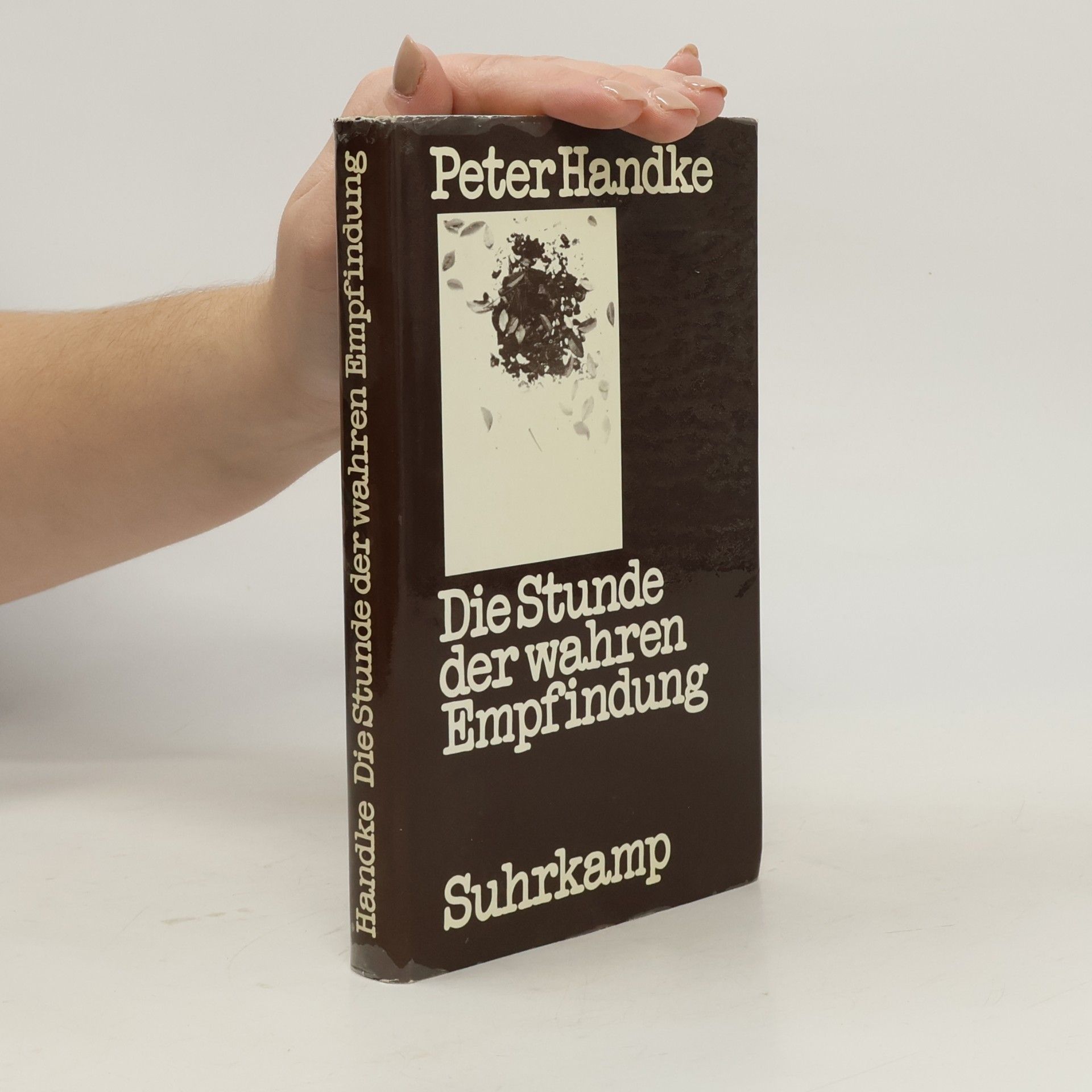 Peter Handke Die Stunde der wahren Empfindung
