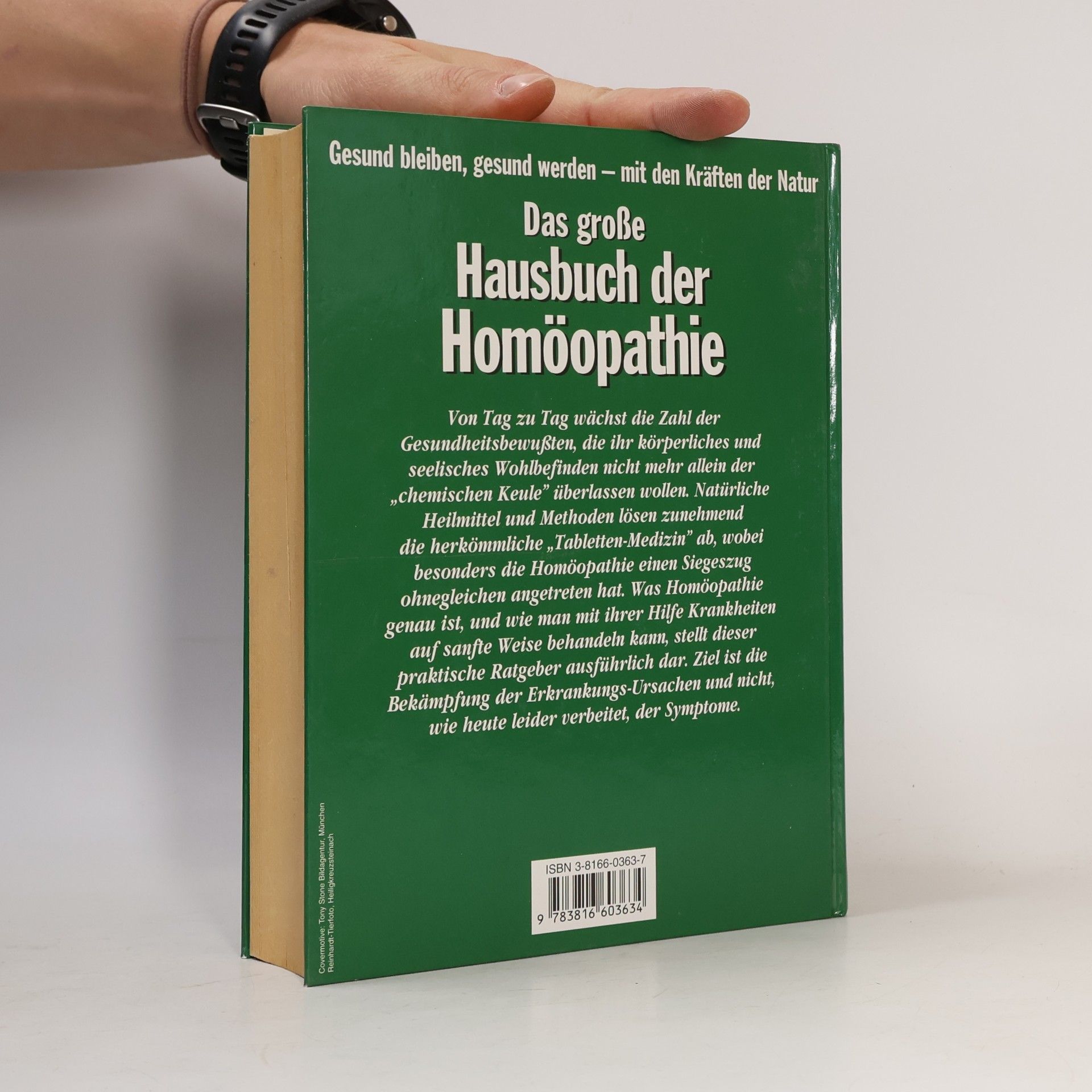 Kolektiv autorů Das große Hausbuch der Homöopathie