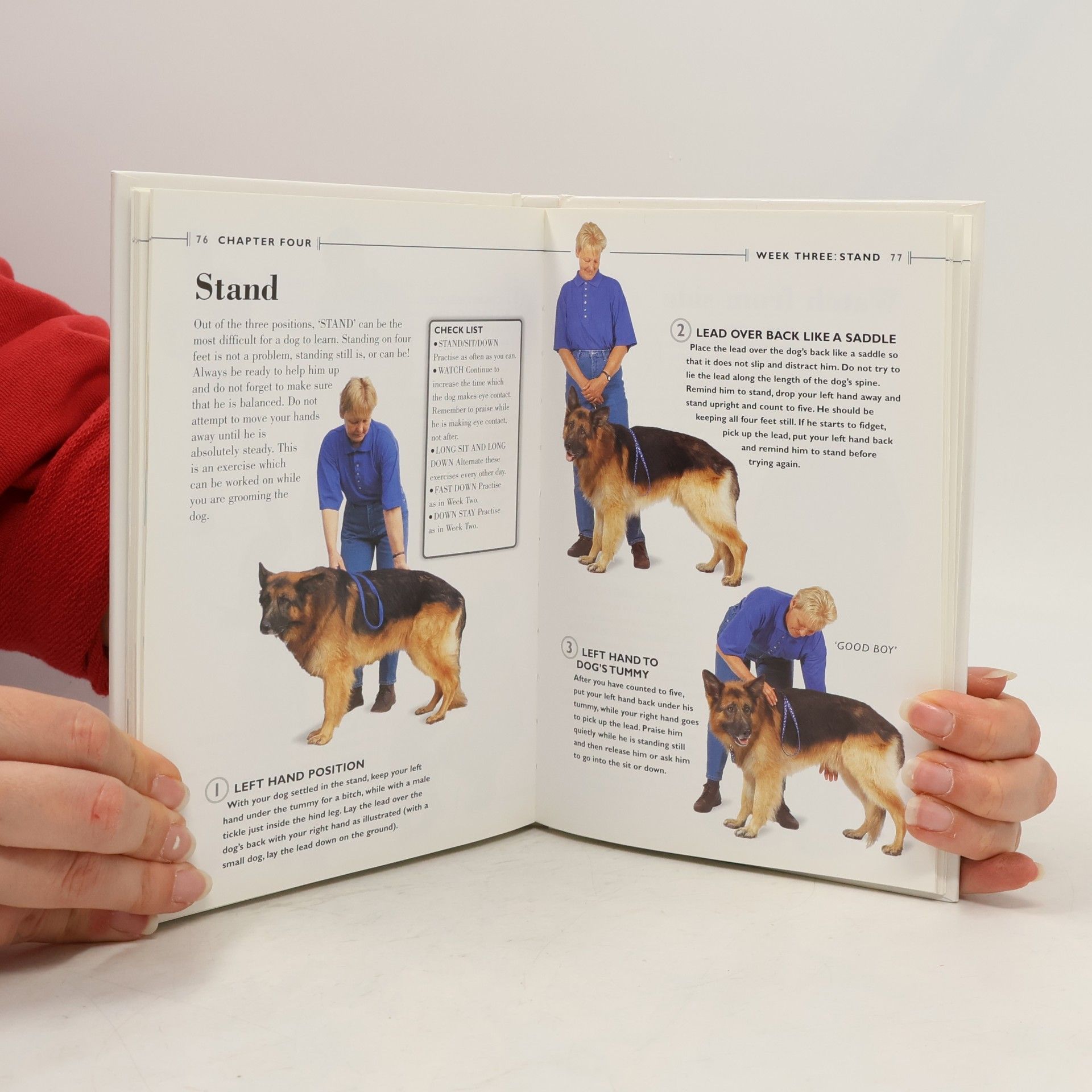 Stella Smyth Collins Dog Training Handbook