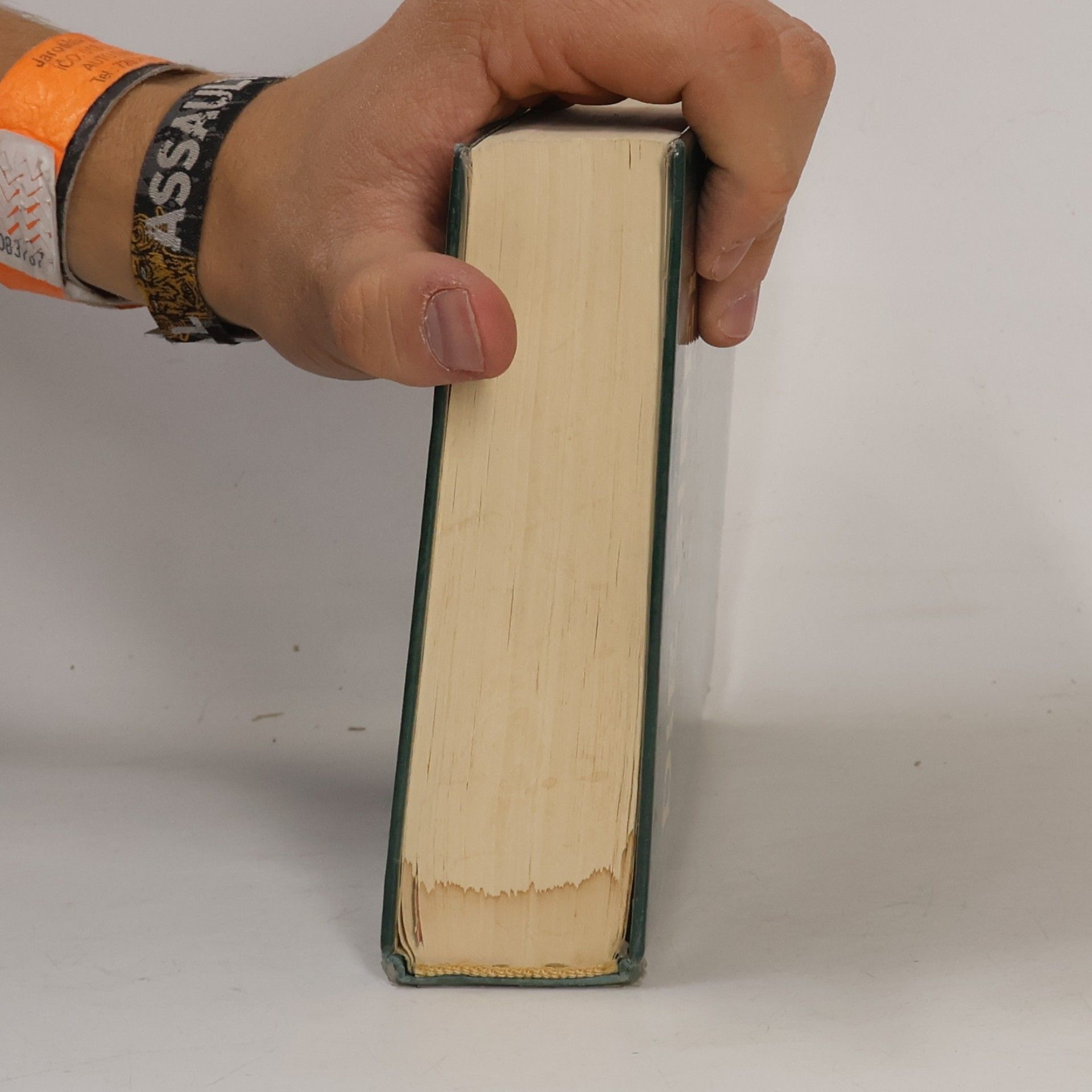 Martin Luther Die Bibel