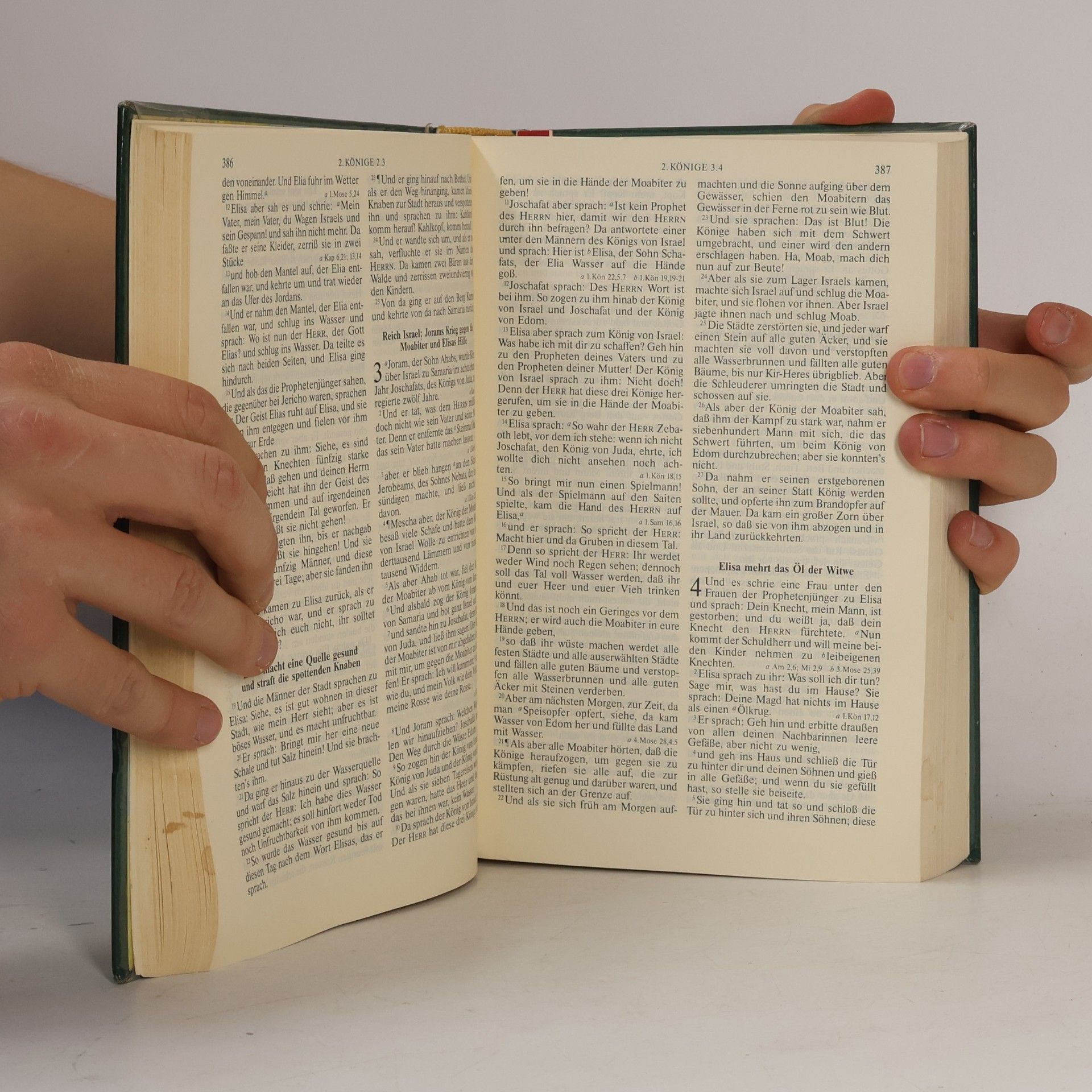 Martin Luther Die Bibel