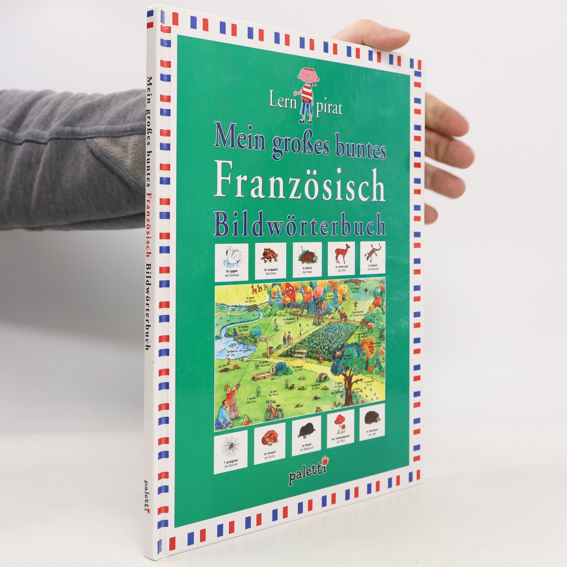 Mein großes buntes Französisch-Bildwörterbuch