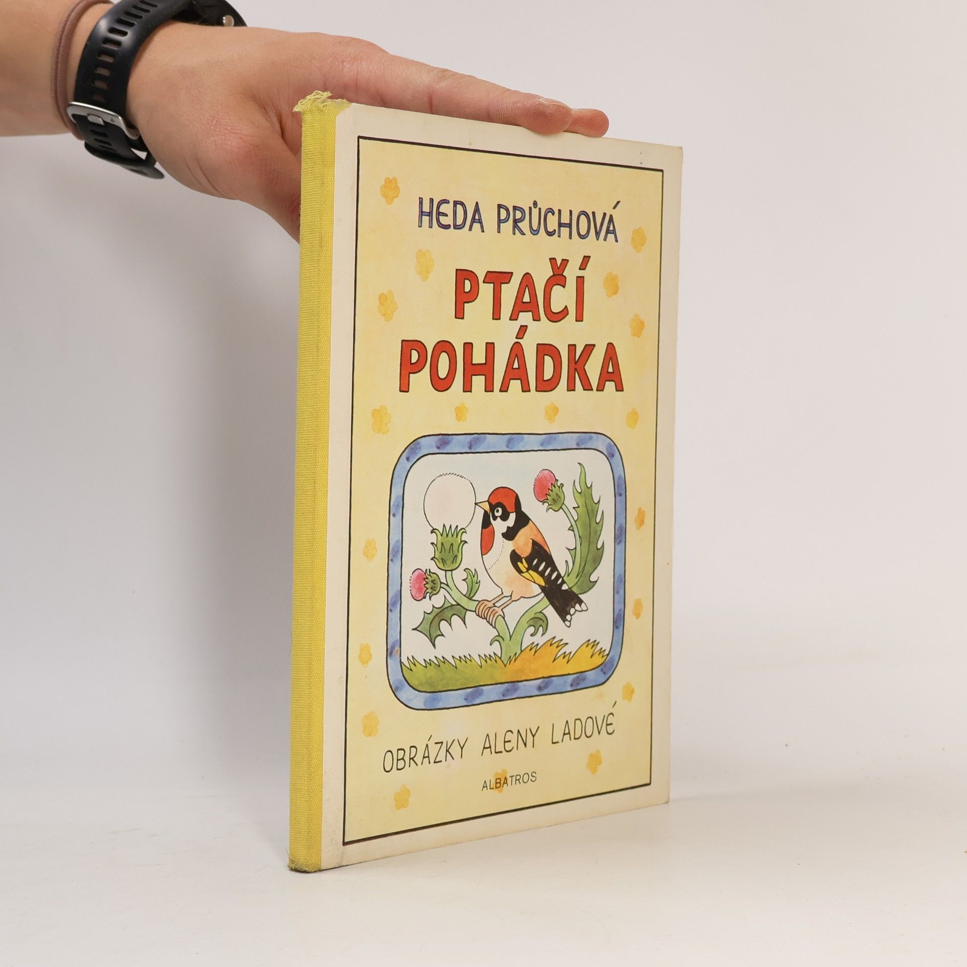 Ptačí pohádka