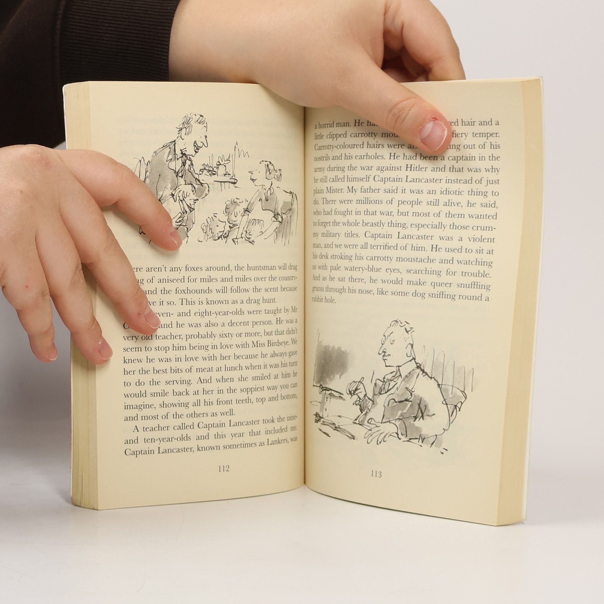 Quentin Blake Danny the Champion of the World (Puffin Fiction)