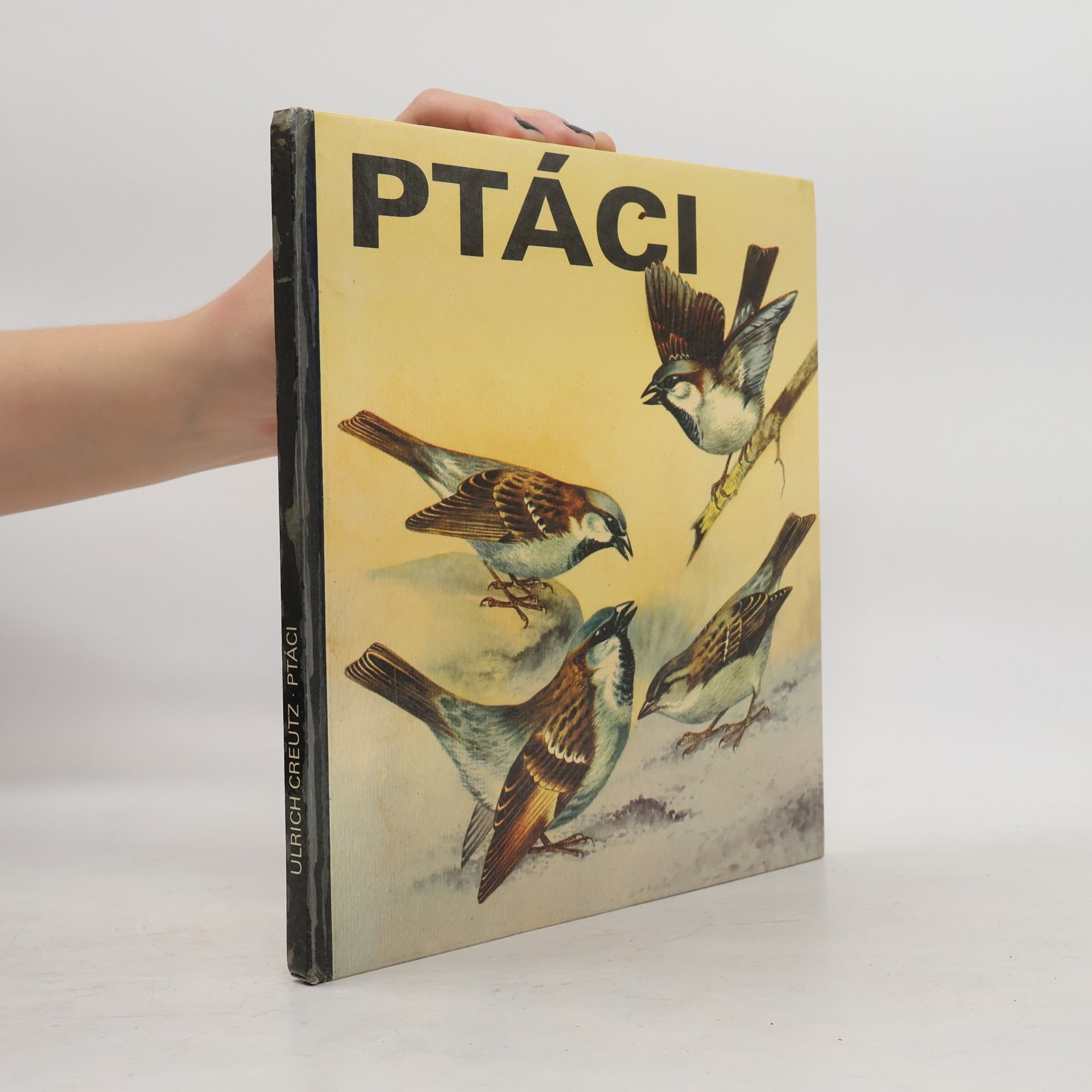 Ulrich Creutz Ptáci