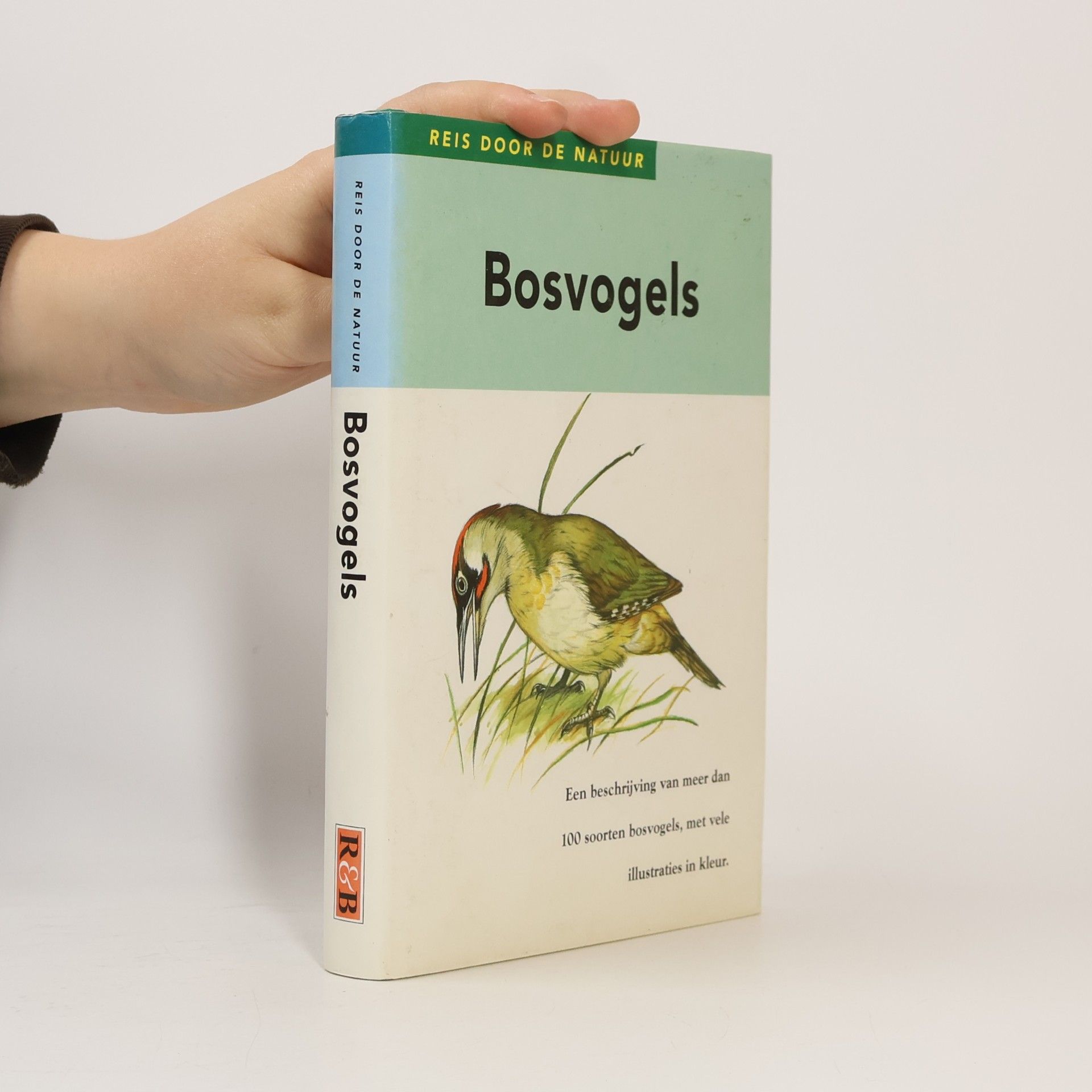 Reis door de natuur: Bosvogels