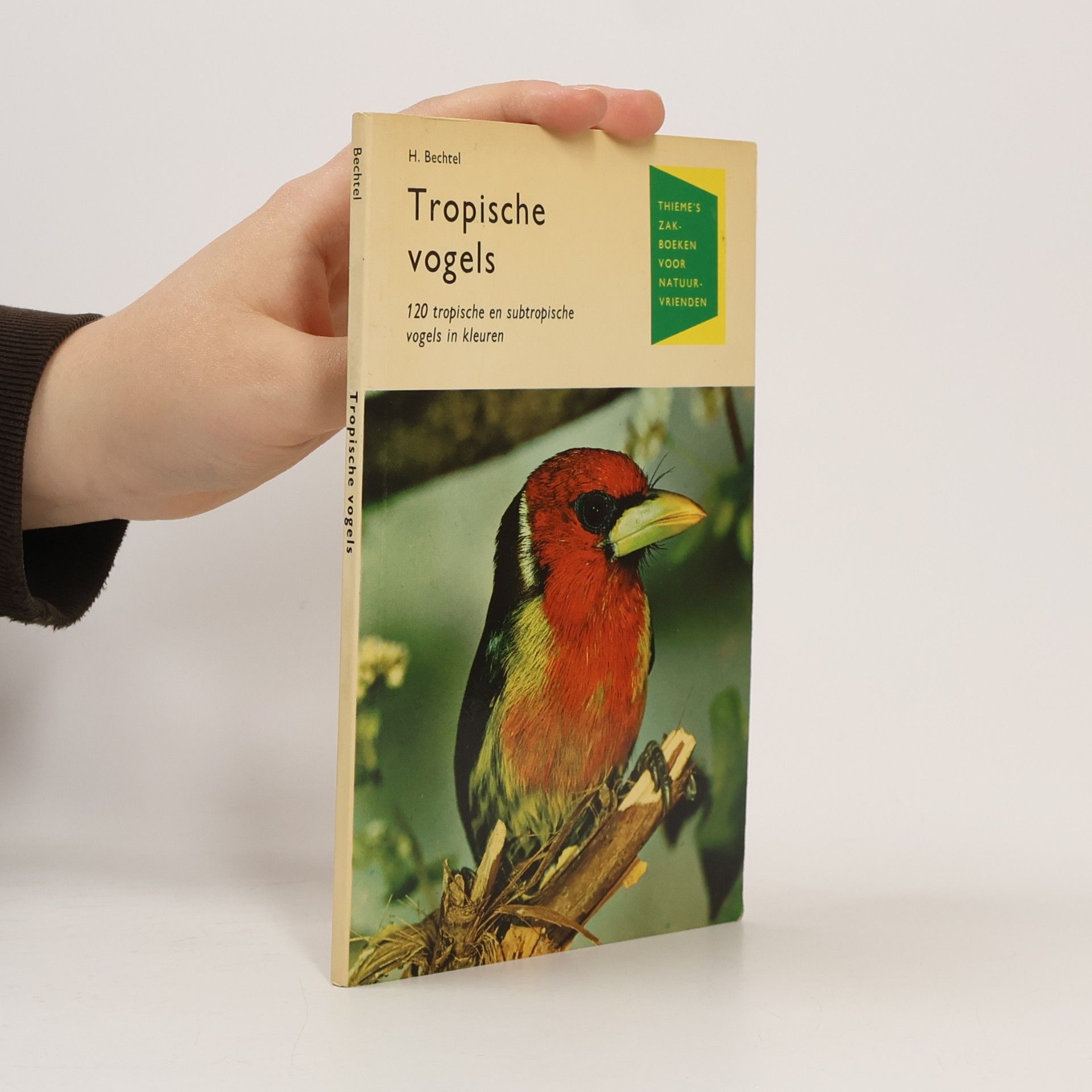 Tropische vogels voor kooi, vitrine en volière