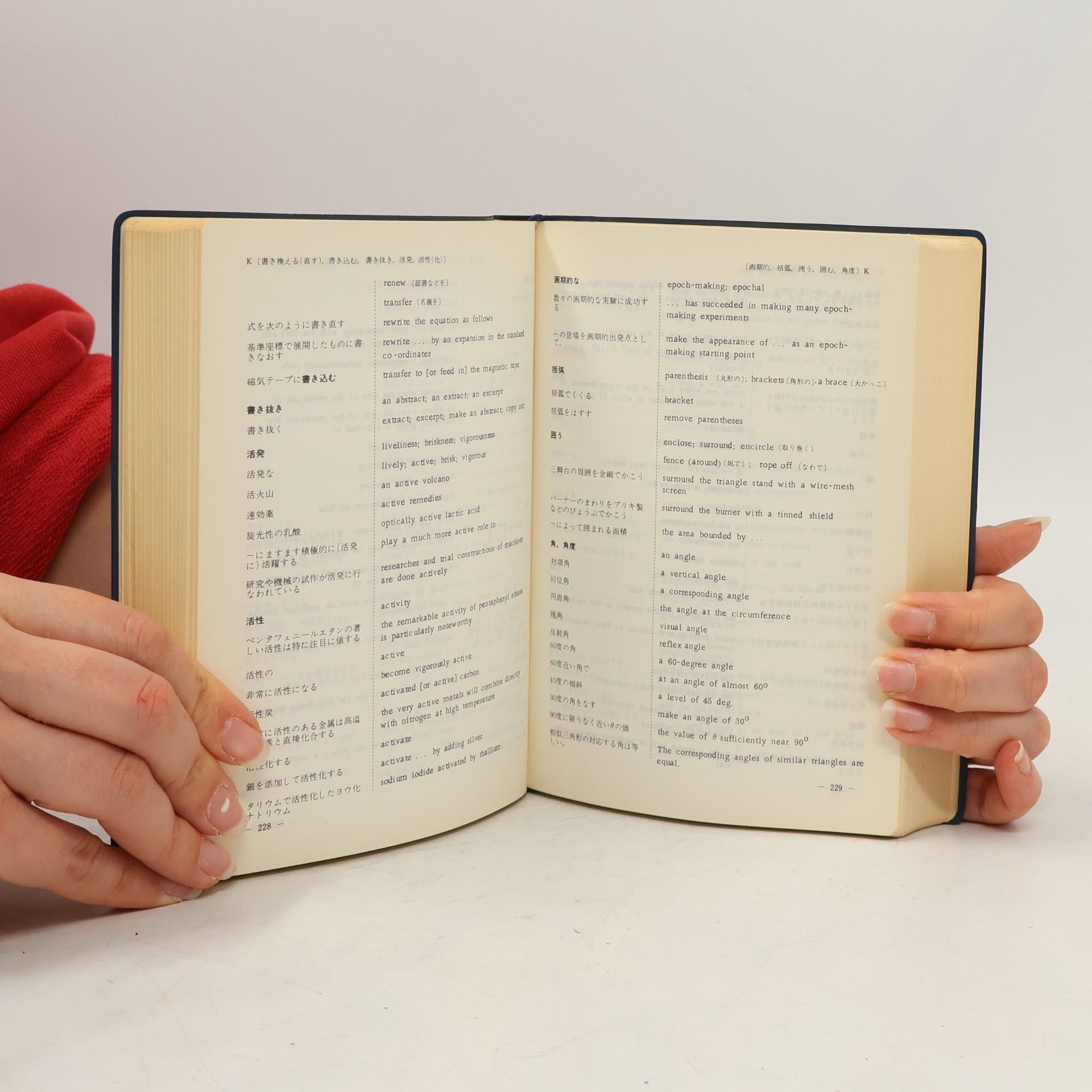 Kolektív autorov A Japanese English Dictionary of Scientific & Technical Expressions