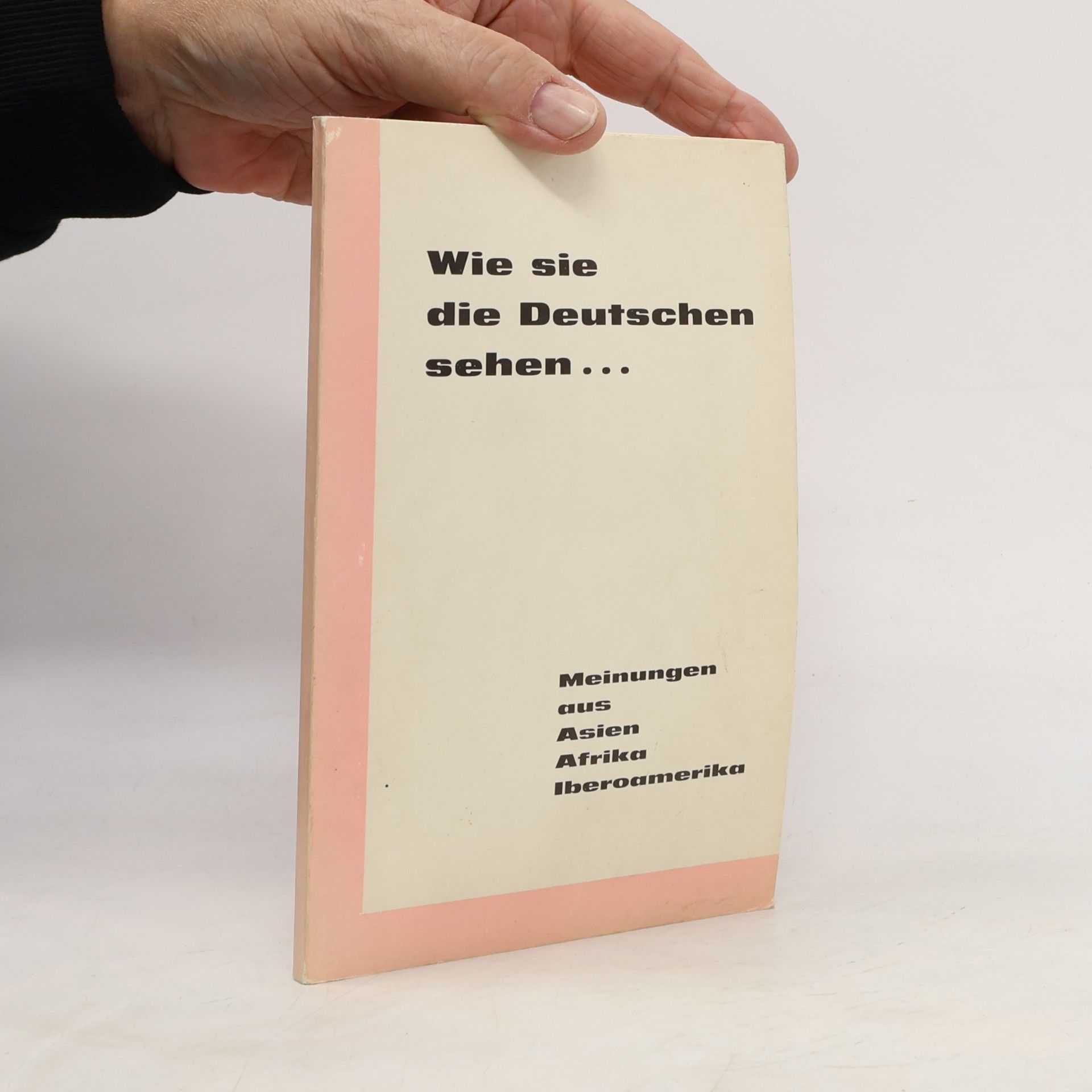 Autorenkollektiv Wie sie die Deutschen sehen