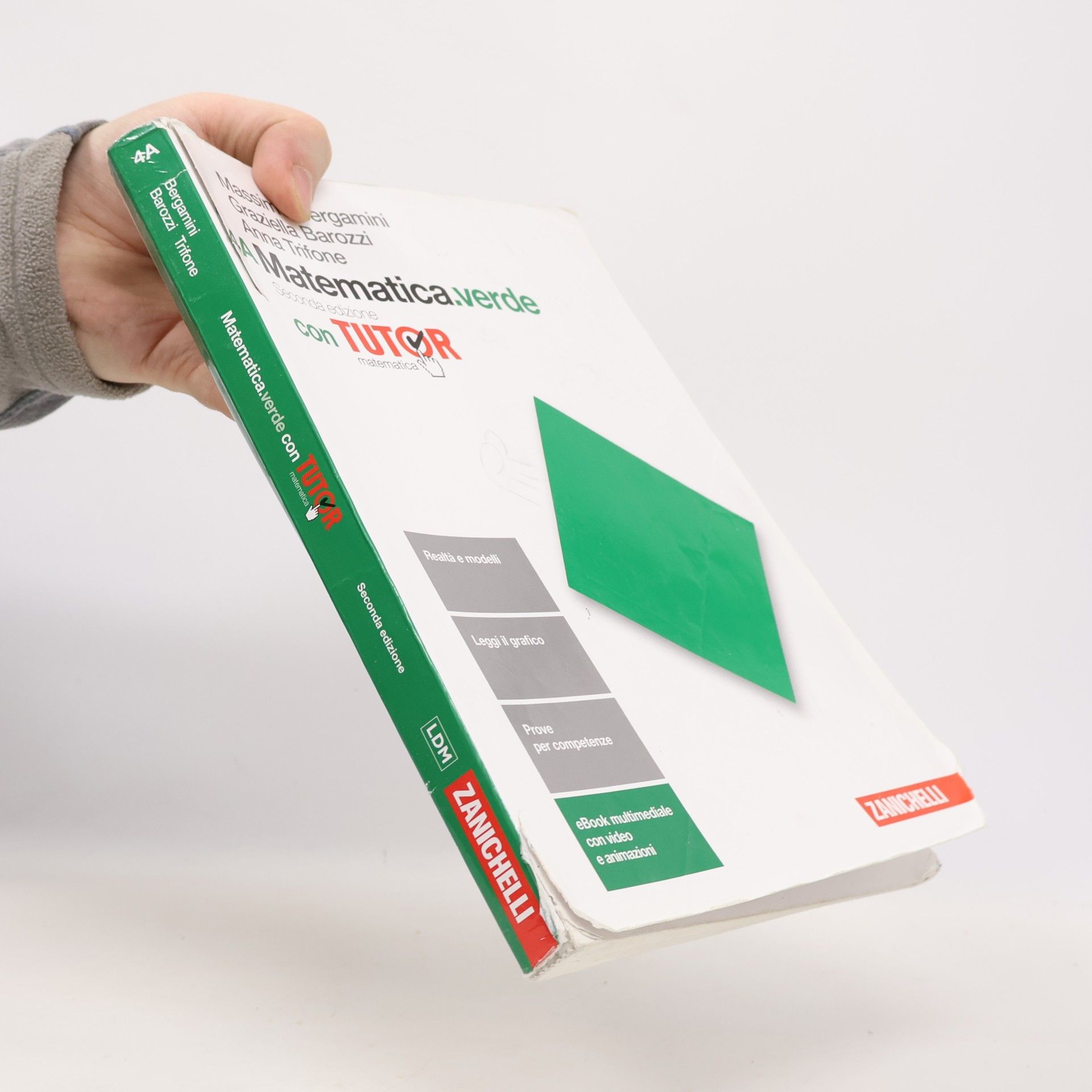 Massimo Bergamini 4A Matematica.verde