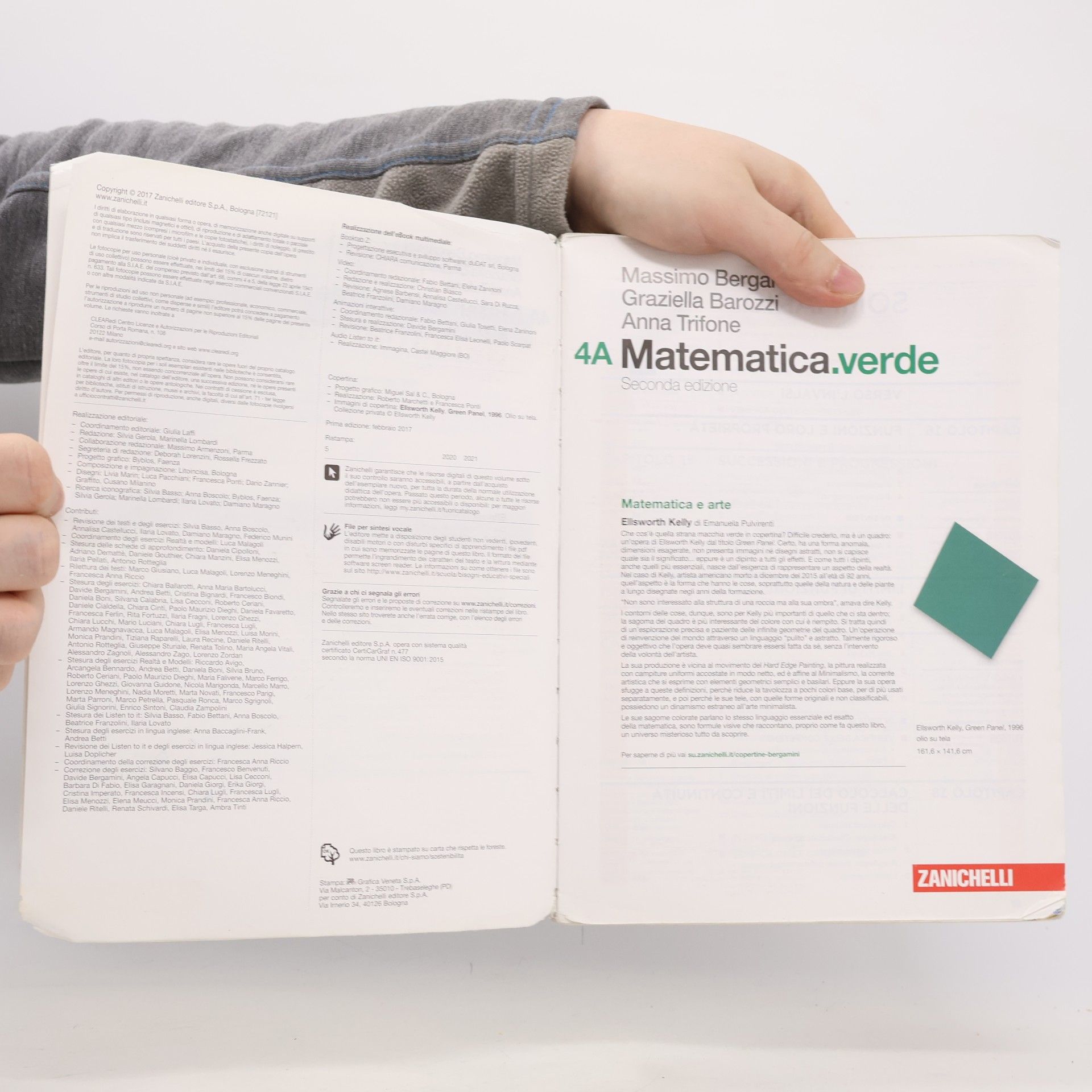 Massimo Bergamini 4A Matematica.verde