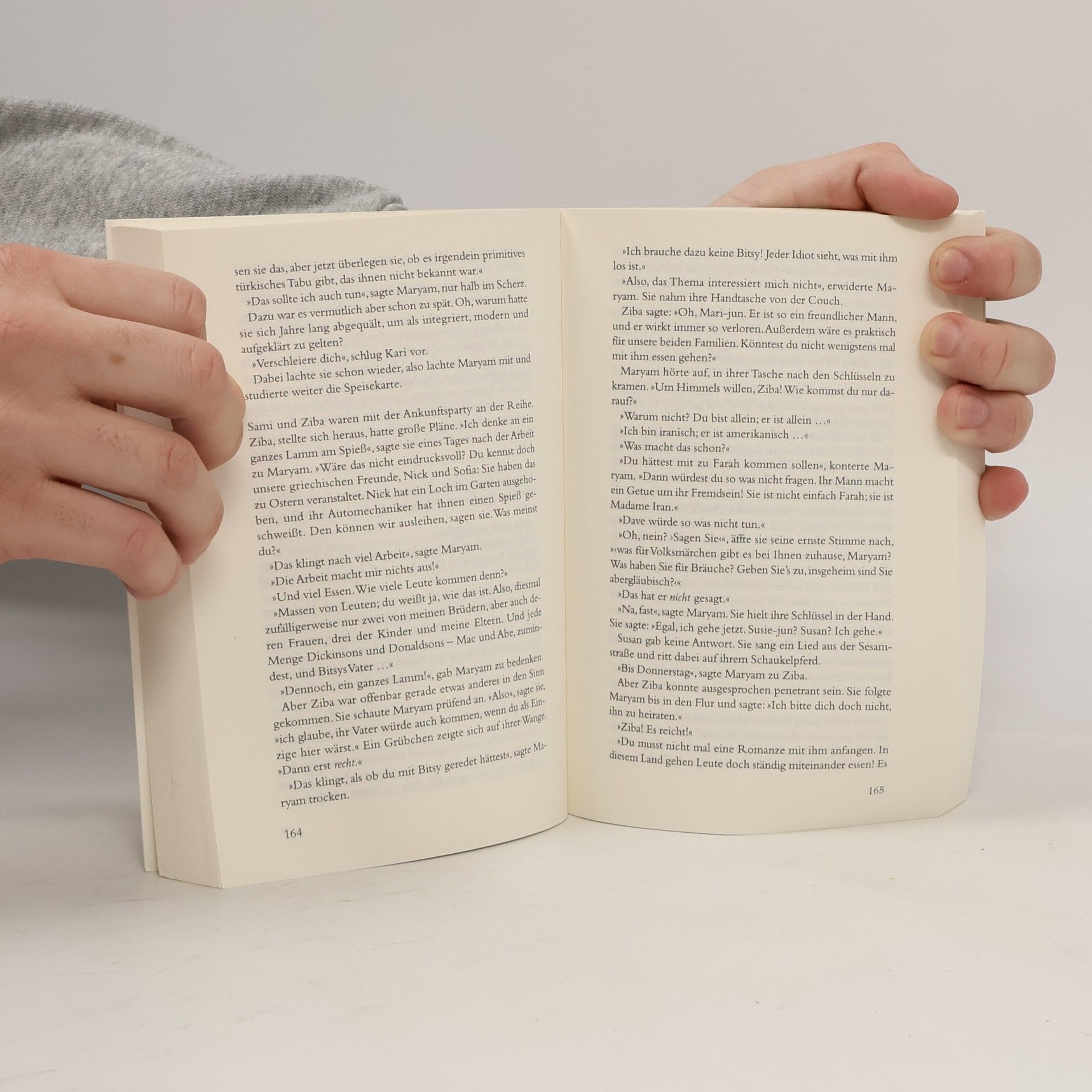 Anne Tyler Tag der Ankunft