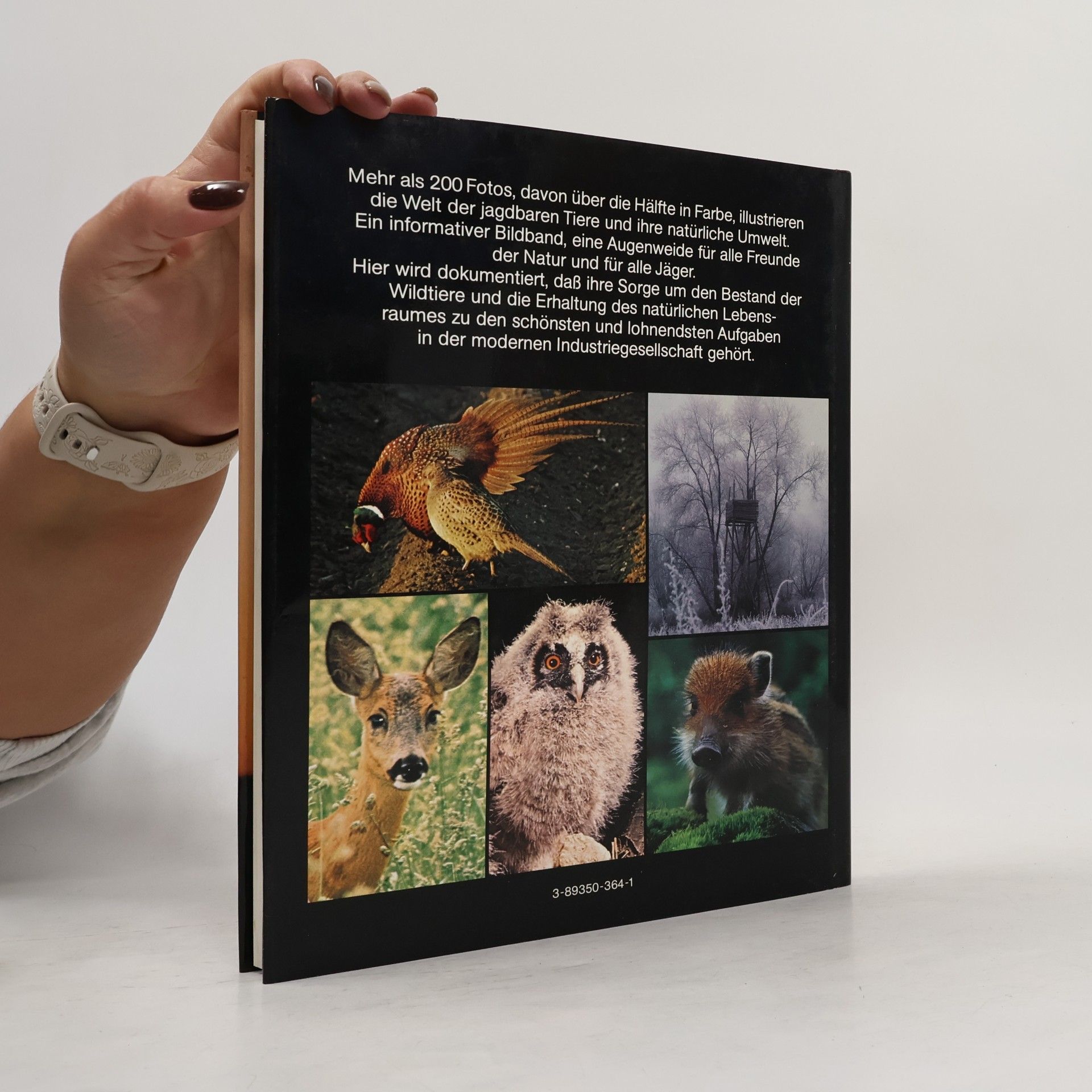 Zembsch' Werkstatt Das grosse Buch der Jagd