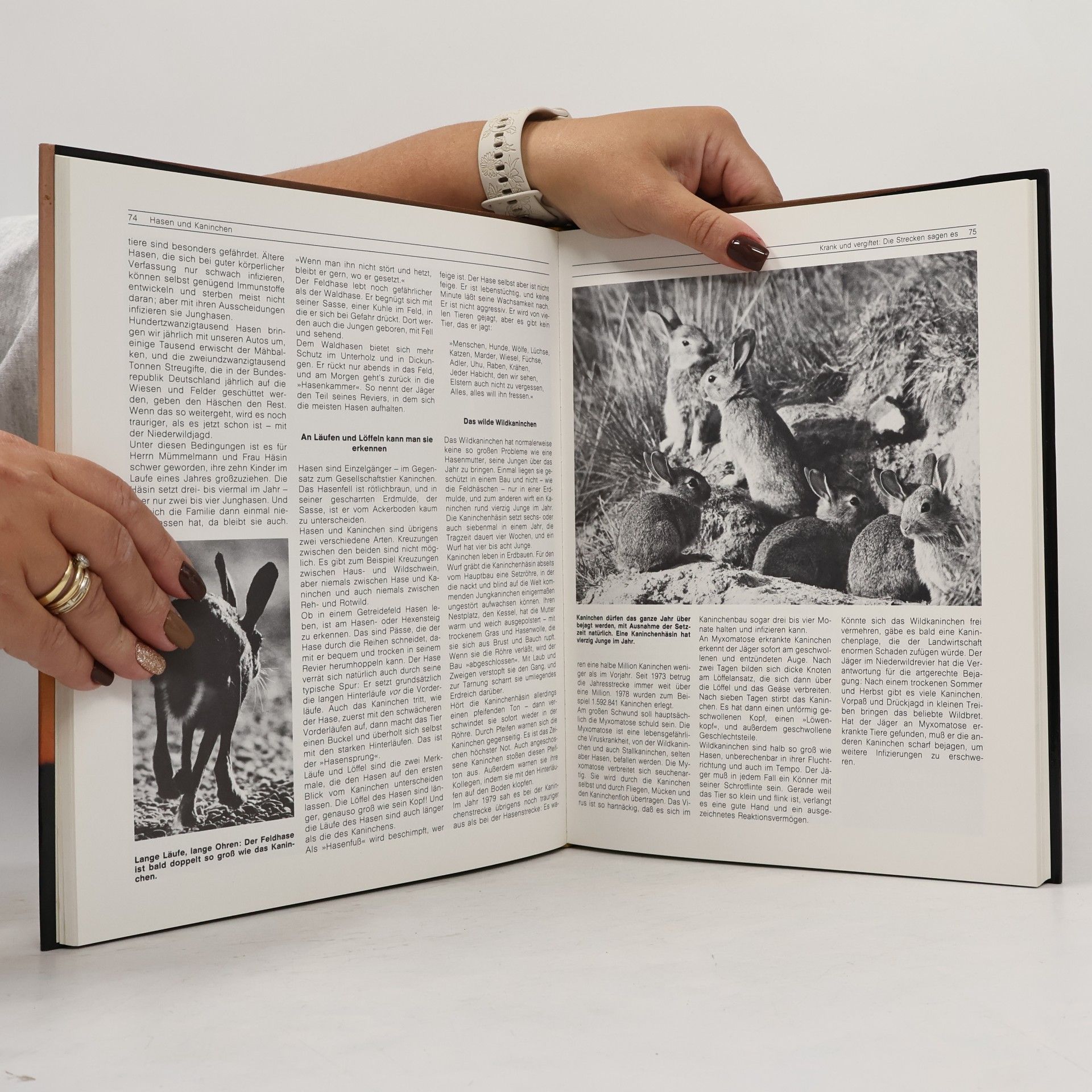 Zembsch' Werkstatt Das grosse Buch der Jagd