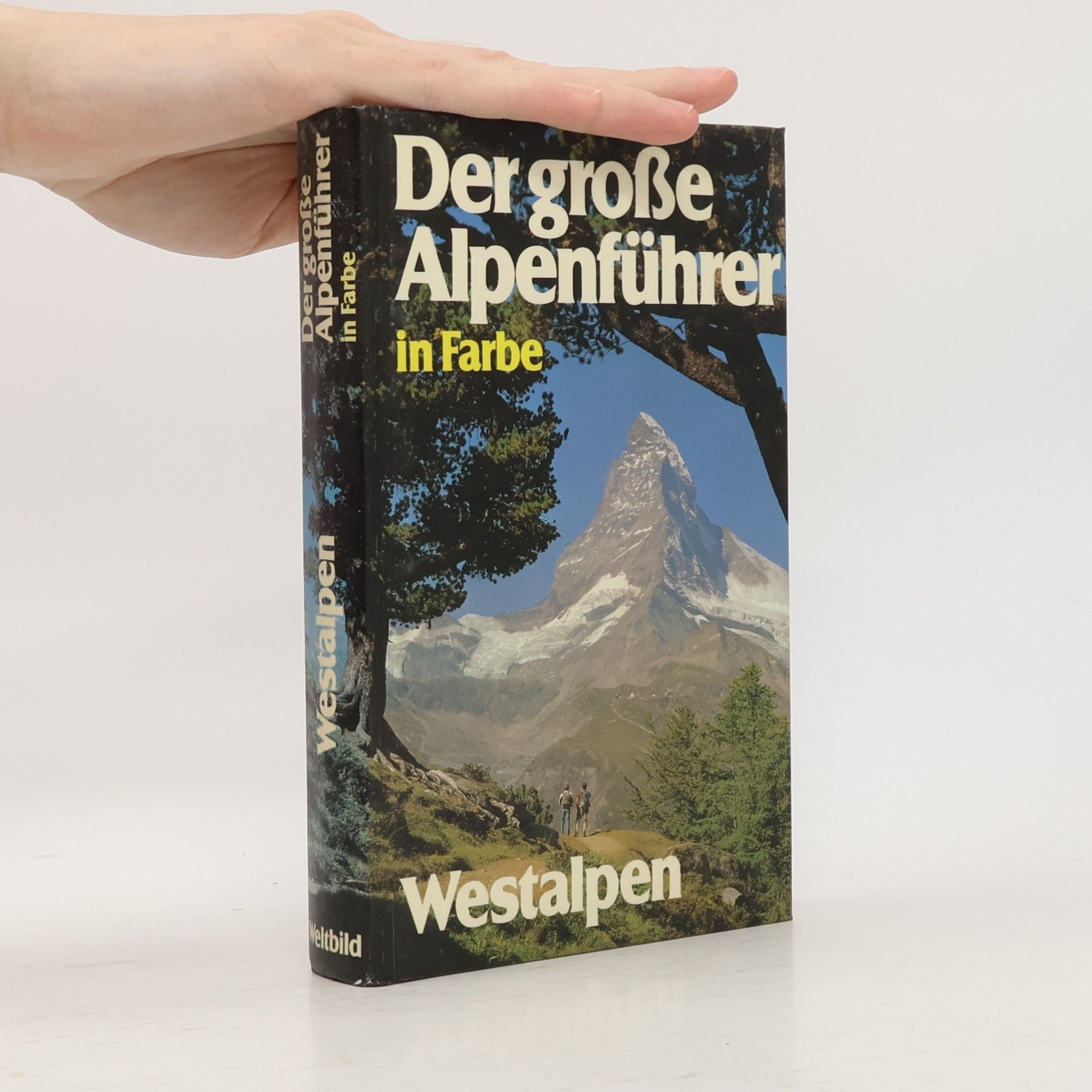 Autorenkollektiv Der große Alpenführer in Farbe. Westalpen