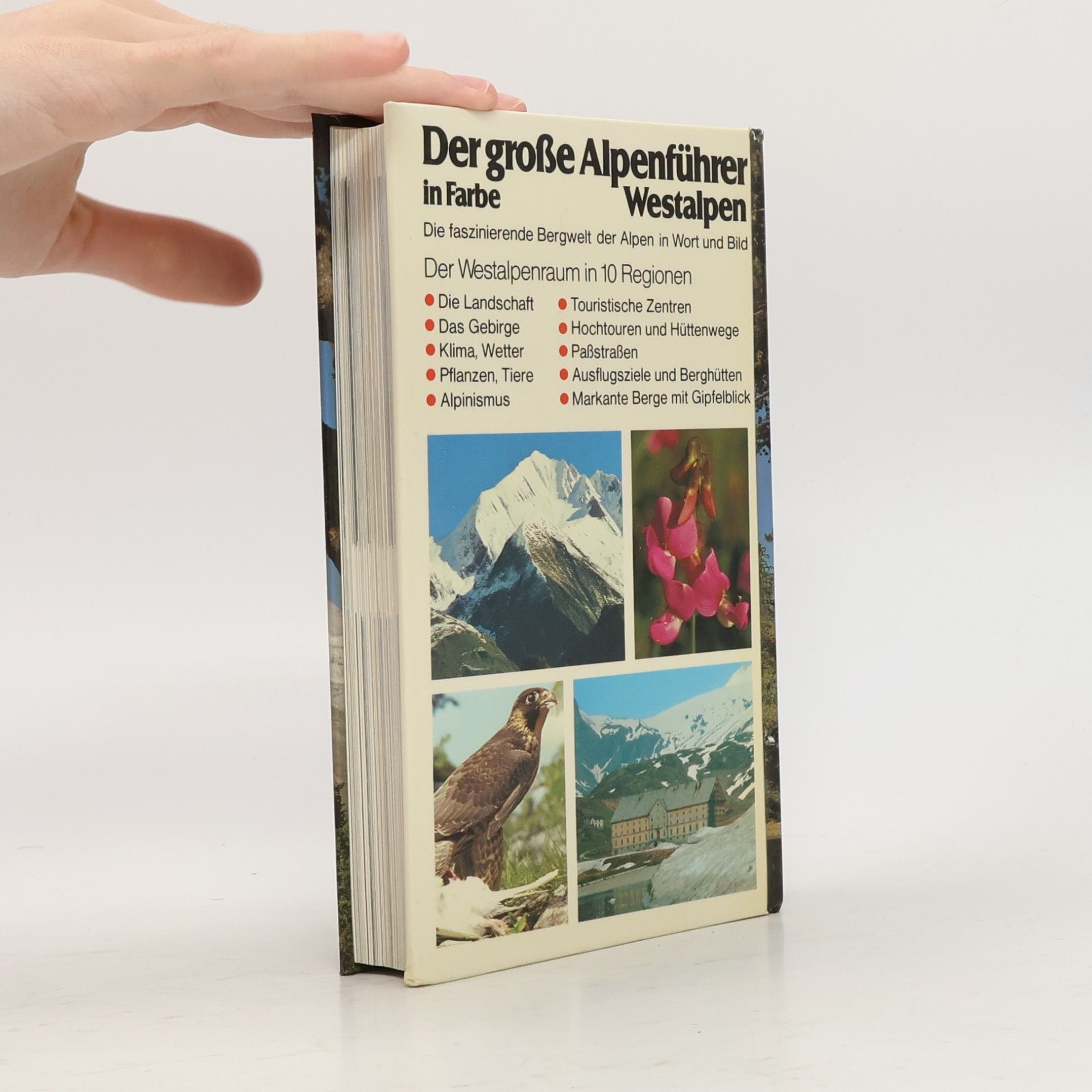 Autorenkollektiv Der große Alpenführer in Farbe. Westalpen