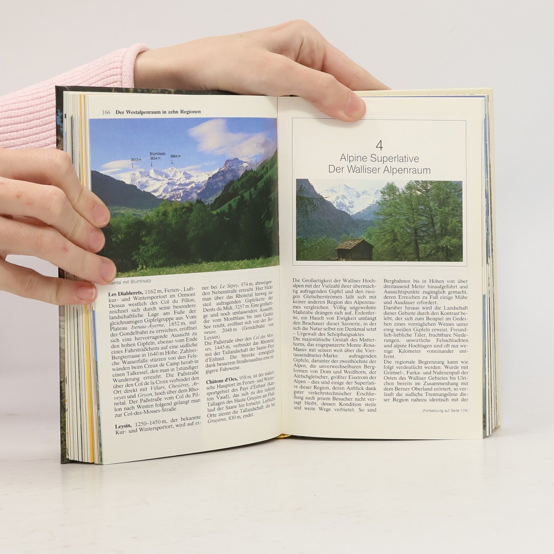 Autorenkollektiv Der große Alpenführer in Farbe. Westalpen