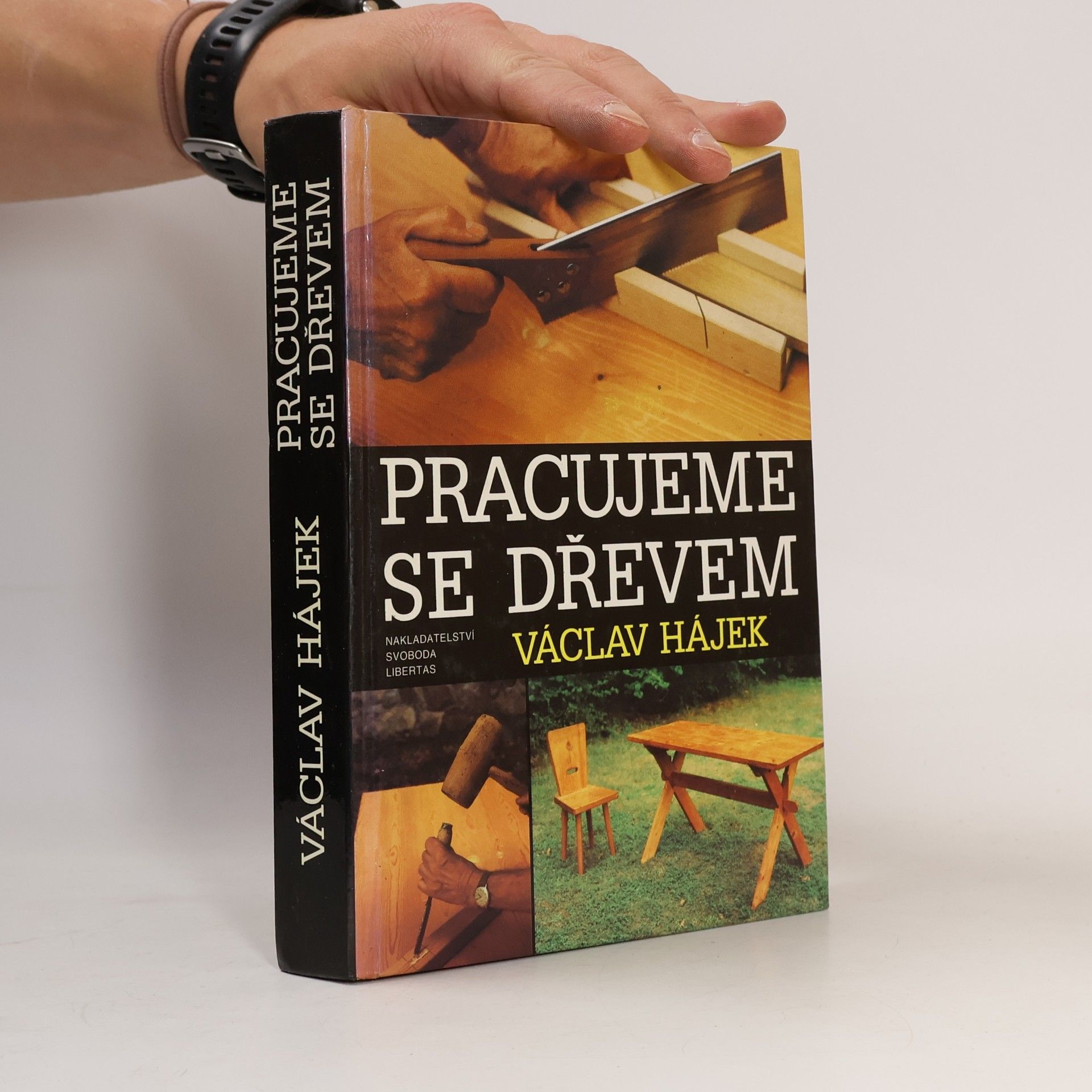 Václav Hájek Pracujeme se dřevem