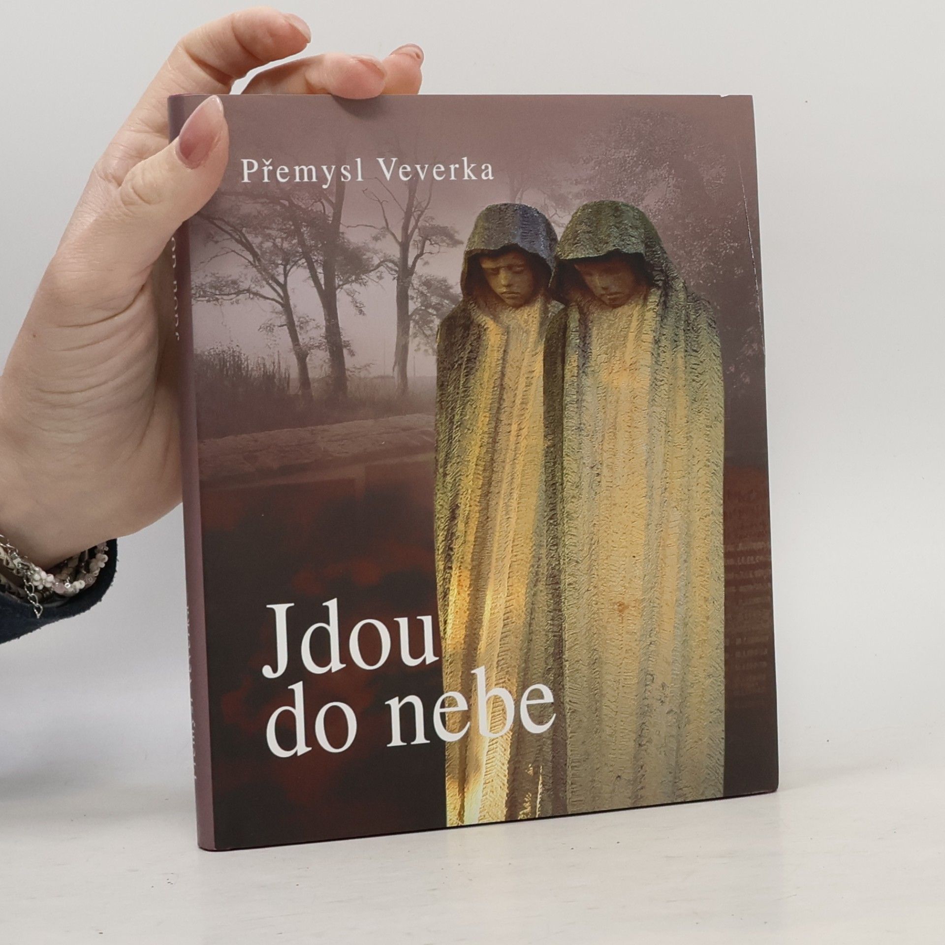 Jdou do nebe